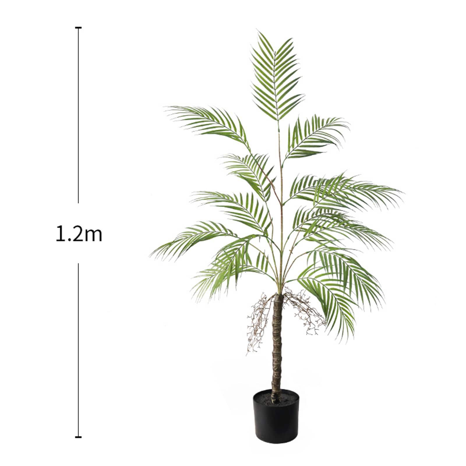 Armen Living WLS-PHO-34N77Q3C Artificial-Plants-Trees - View #3