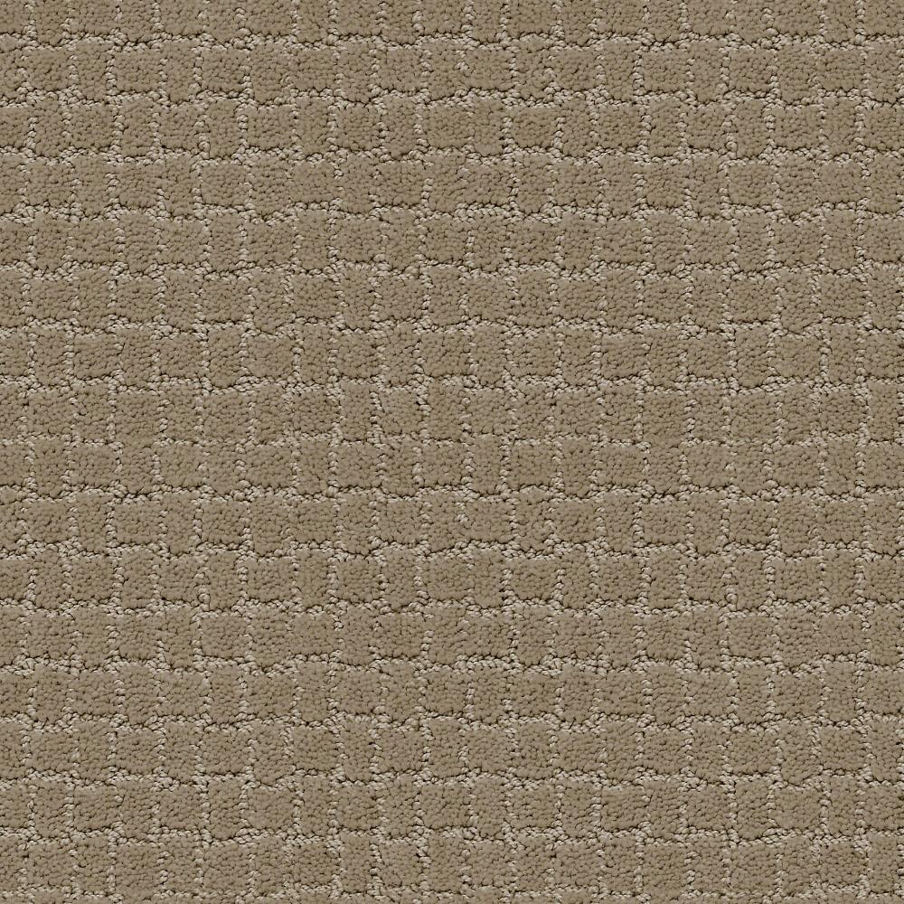 STAINMASTER 7L773-712-SAMP (Sample) PetProtect Bark City Driftwood Pattern Carpet