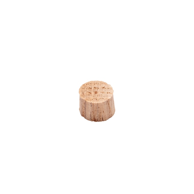 Madison Mill 15-Pack 0.5 x 0.25 Oak Wood Button Plug in the End Caps &  Screw Protectors department at
