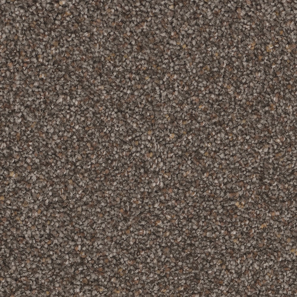 STAINMASTER S9768-912-S (Sample) Nags Head Oceanfront Multi-Colored 68-oz sq yard Polyester Textured Indoor Carpet