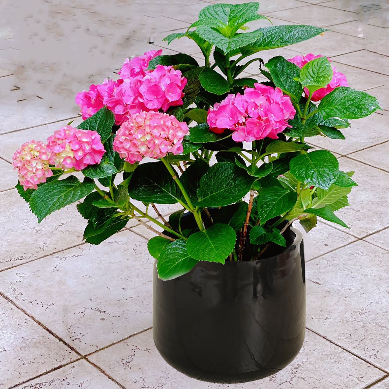 Origin 21 2485 BK Planter-Window-Box - View #2