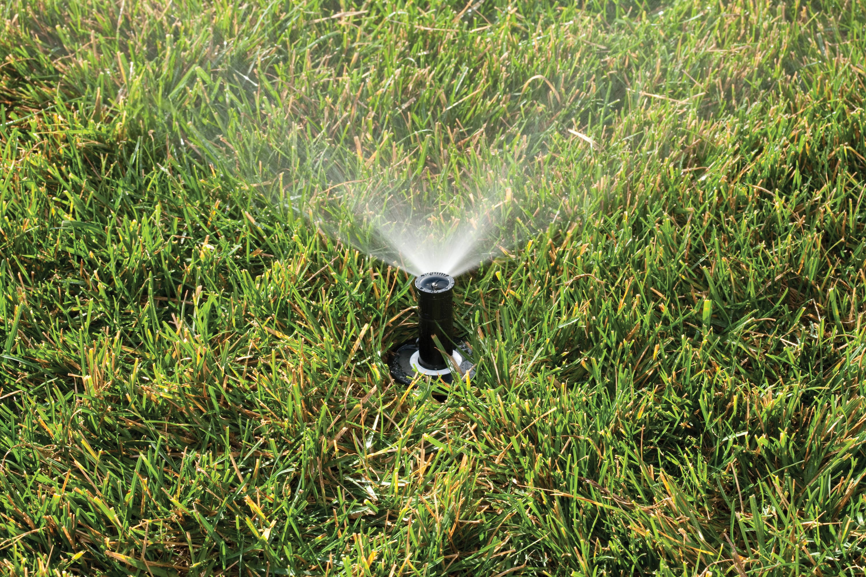 Rain Bird 8-ft- 15-ft Quarter-circle Spray 2-in Pop-up Spray Head ...