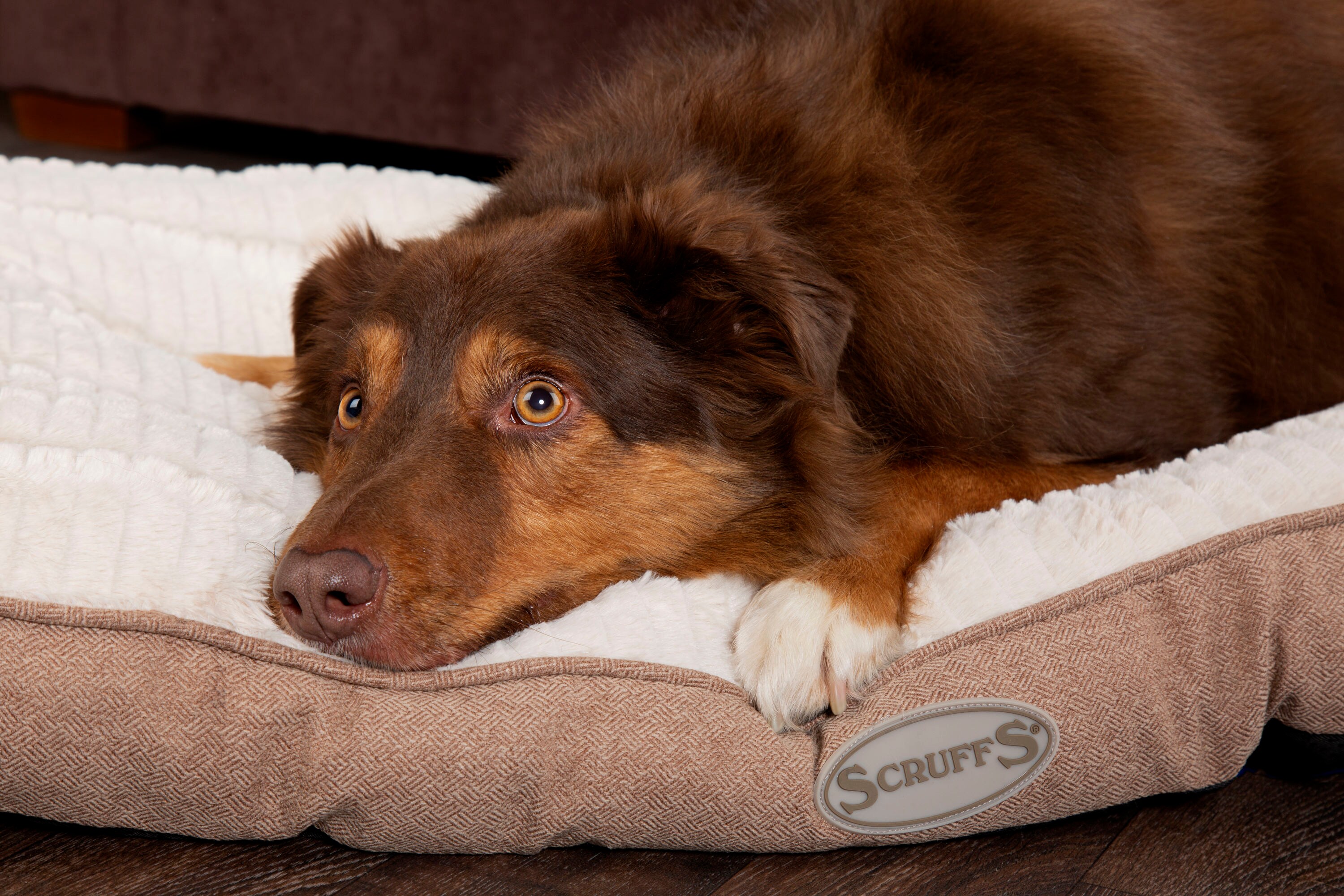 Scruffs BEDRCD820945 Pet-Beds - View #4