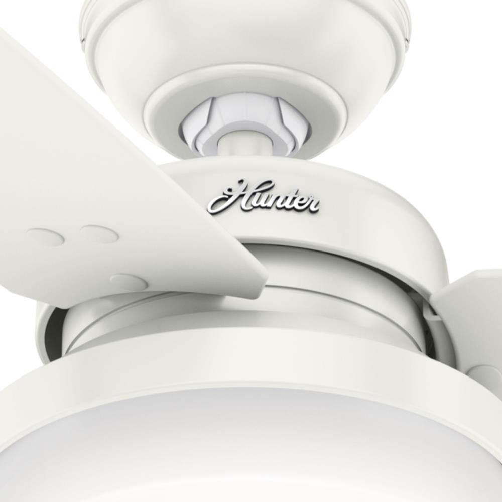 Hunter 59456 Ceiling-Fans - View #8