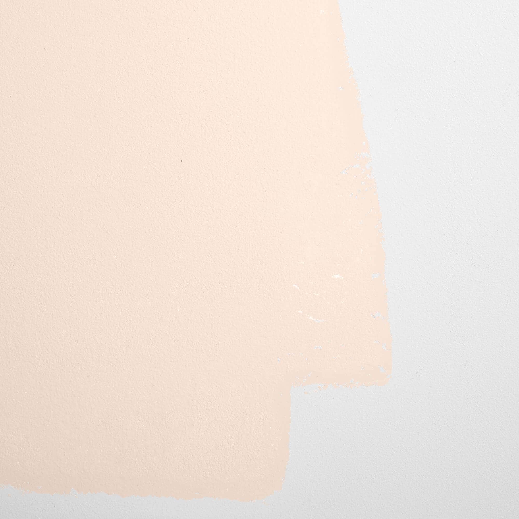 BACKDROP BD255300401 Cabinet-Furniture-Paint - View #5