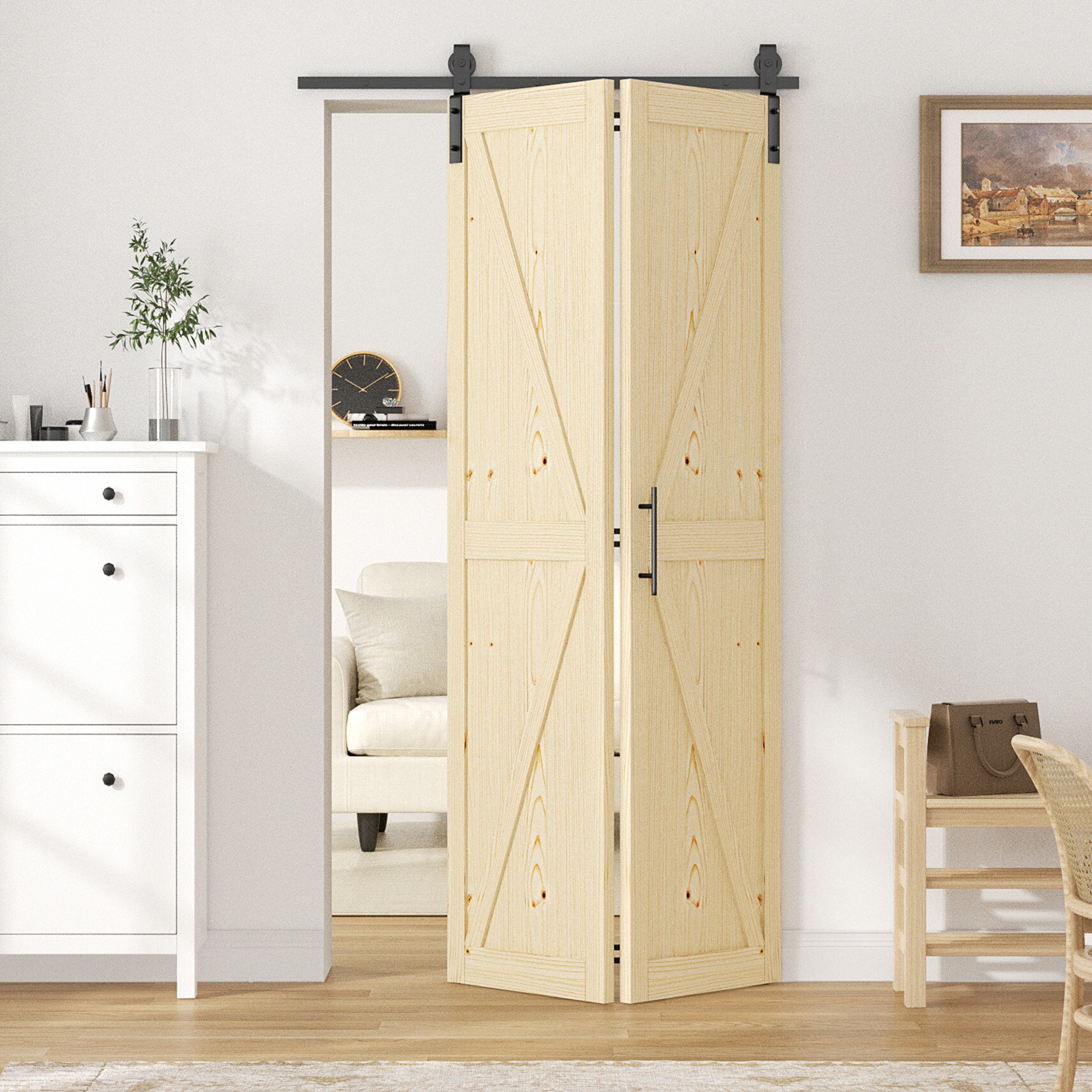 LOVMOR BD-Z-4284-LSQ Barn-Doors - View #7