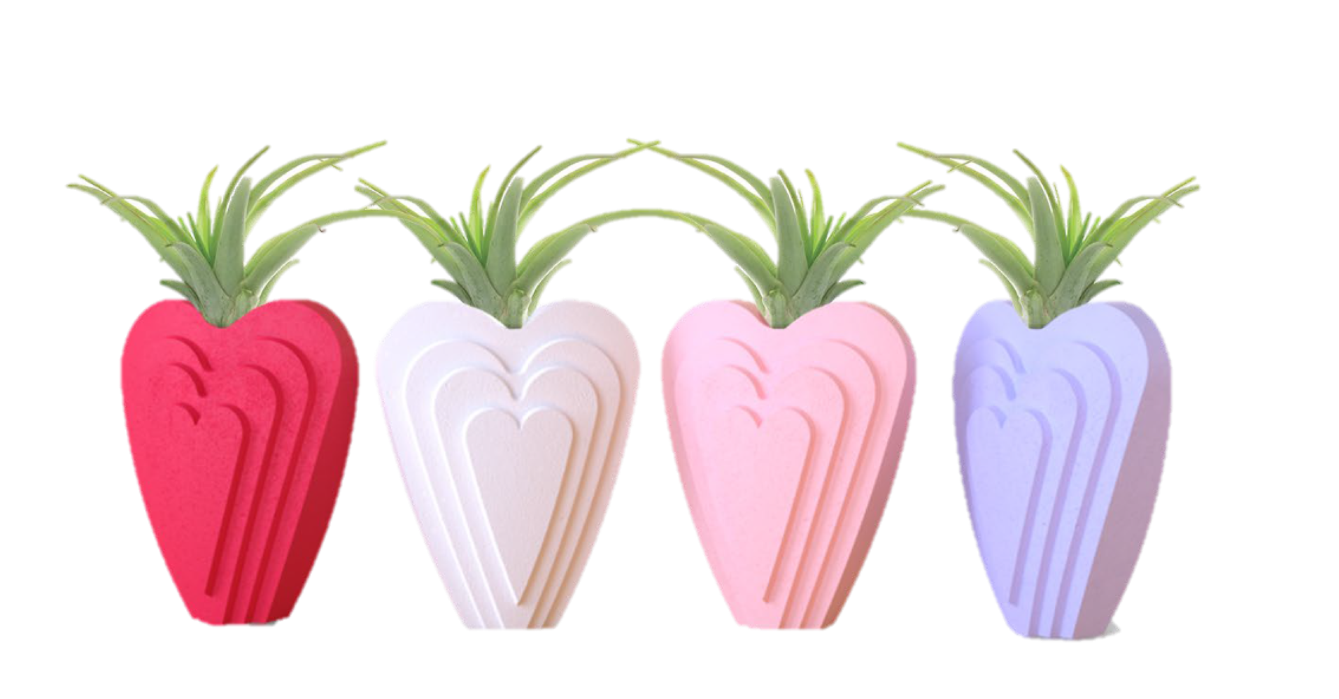 LiveTrends ASB08176 Sweet Reverie House plant in 4 -Pack Pot 4 -Pack