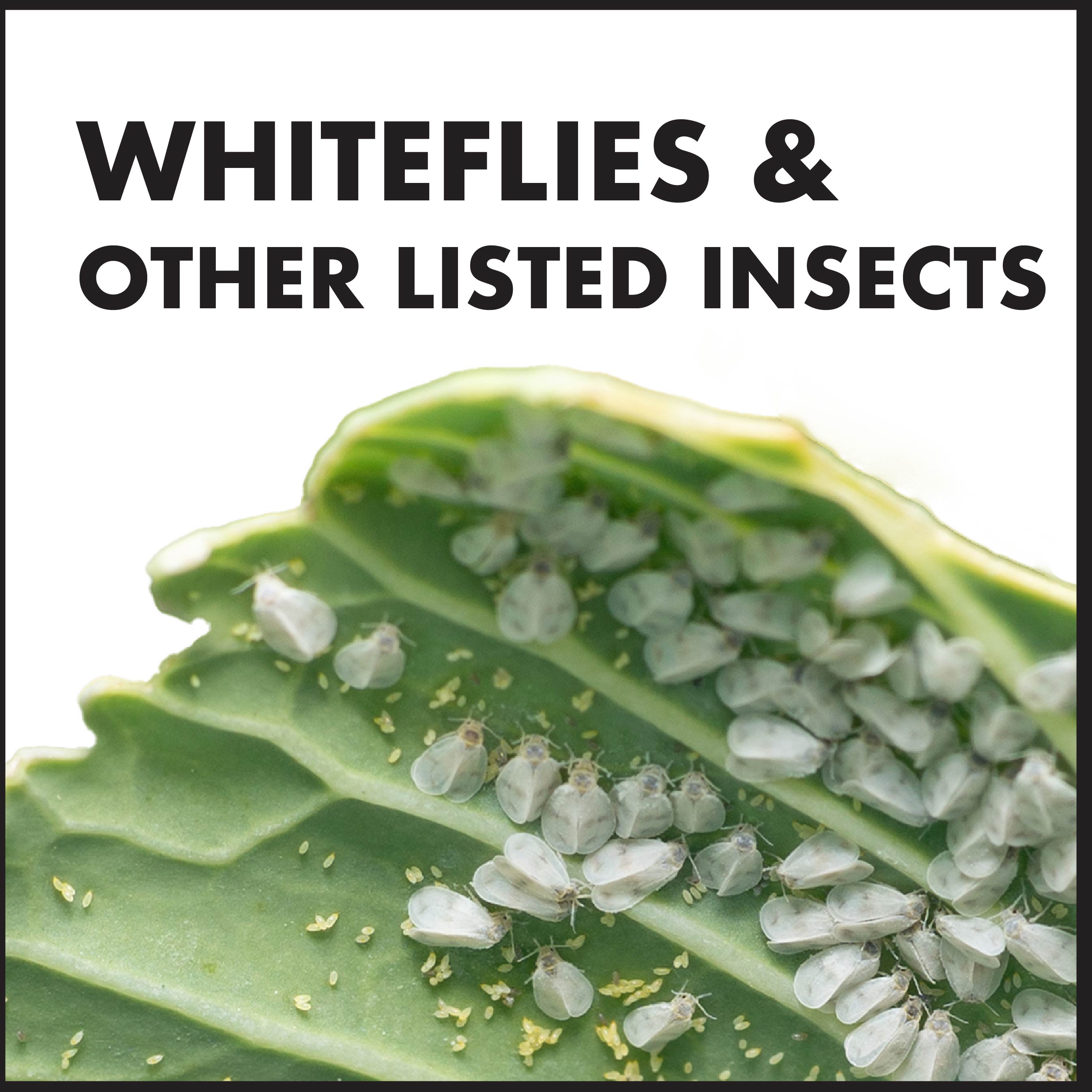 Spectracide HG-30900 pesticides - View #3