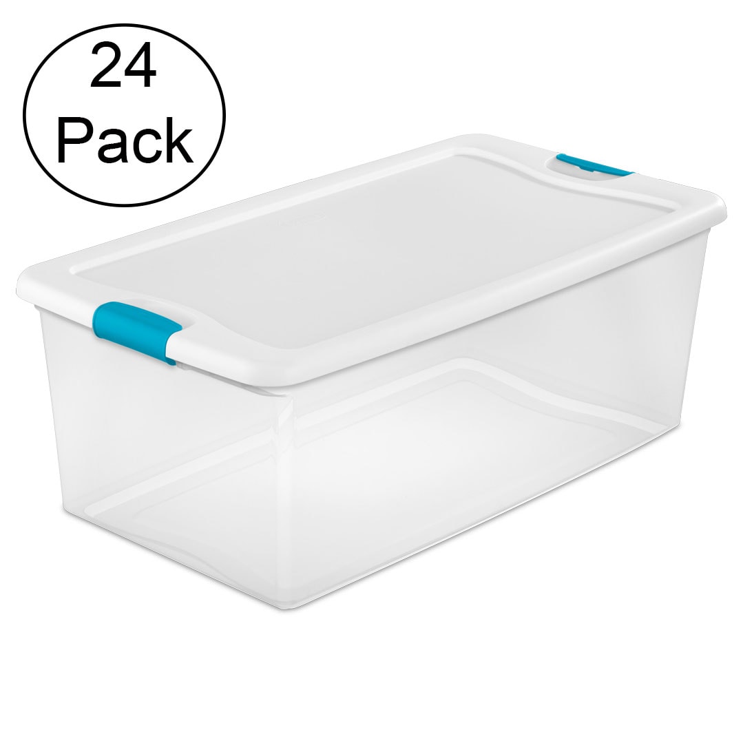 Holiday Living Large 16.5-Gallons (66-Quart) Clear Weatherproof Heavy Duty  Tote with Latching Lid