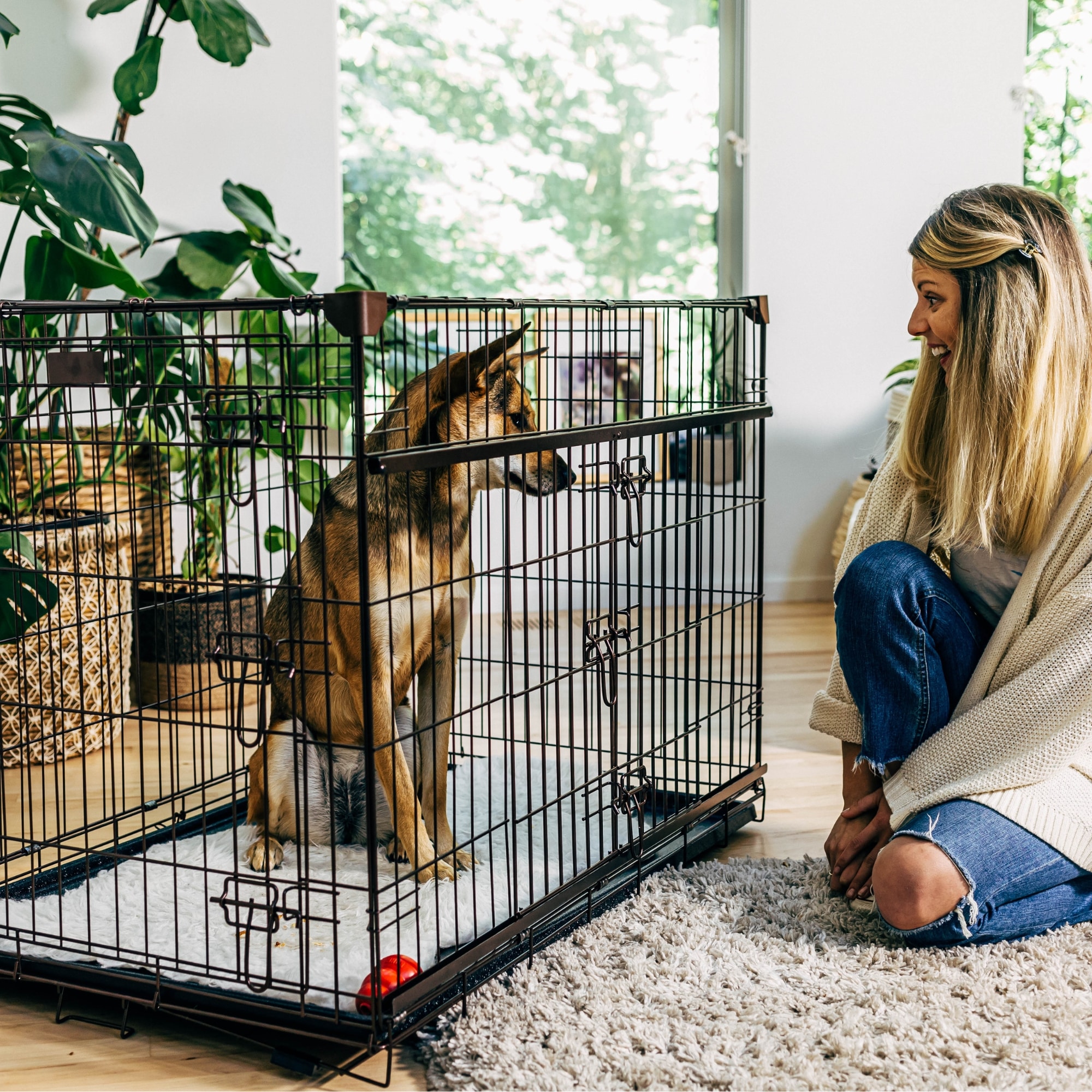 Lucky Dog ZW51542-UR1510 Pet-Crates-Carriers - View #11