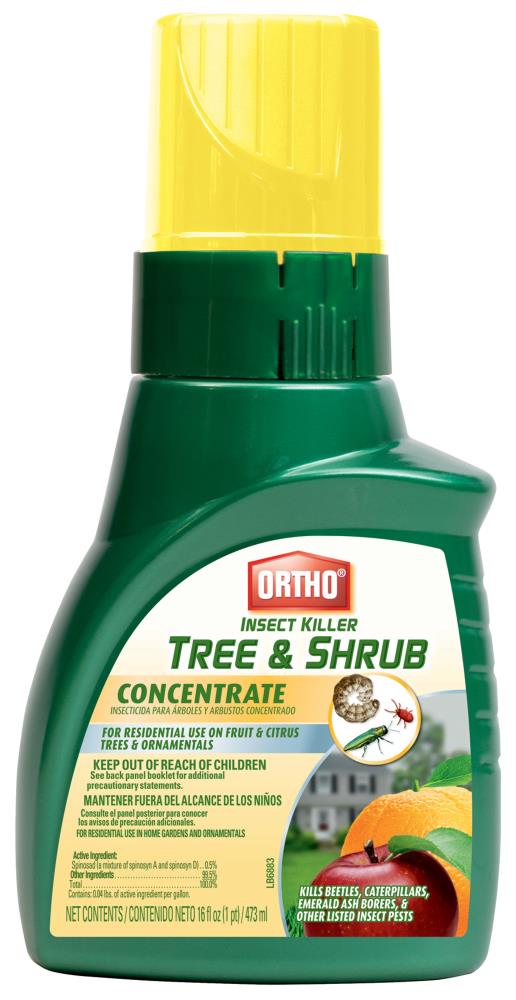 Ortho Insect Killer Tree And Shrub Concentrate 16 Fl Oz Concentrate Garden Insect Killer Hose