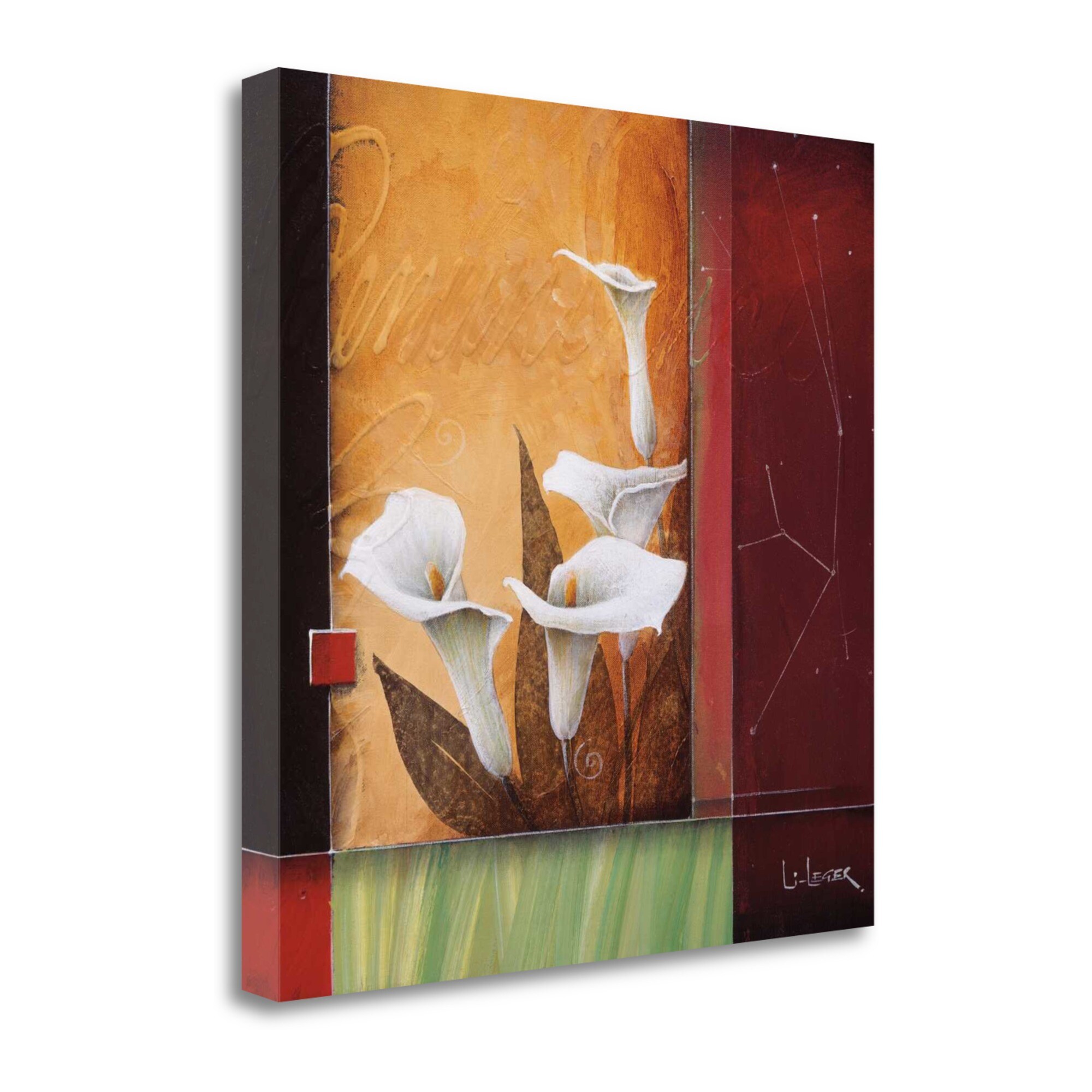 Tangletown Fine Art CA305573-2222C Reminiscence Don Li-leger 22-in H x 22-in W Floral Print on Canvas