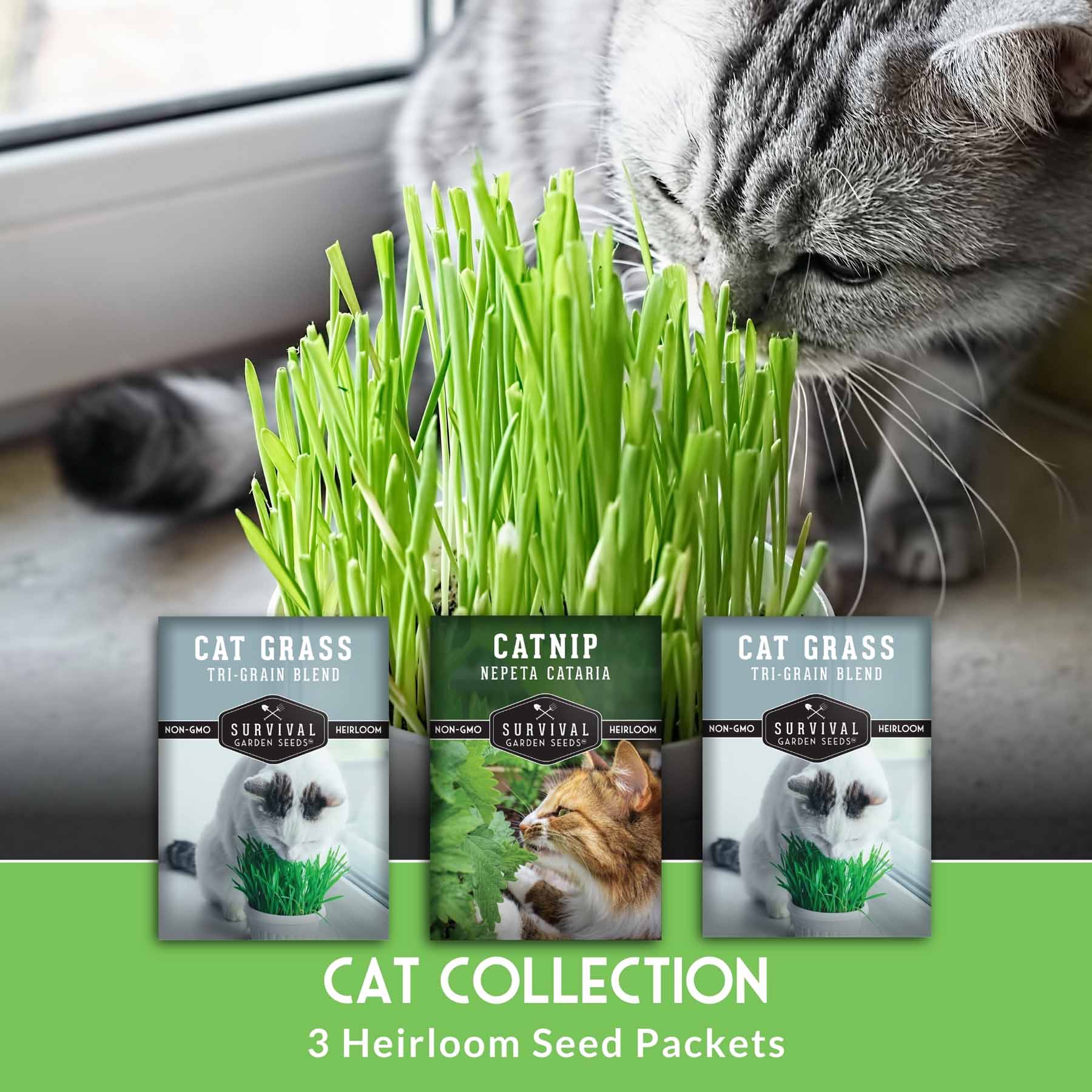 Survival Garden Seeds CATCOLLECTION Vegetable-Herb-Seeds - View #3