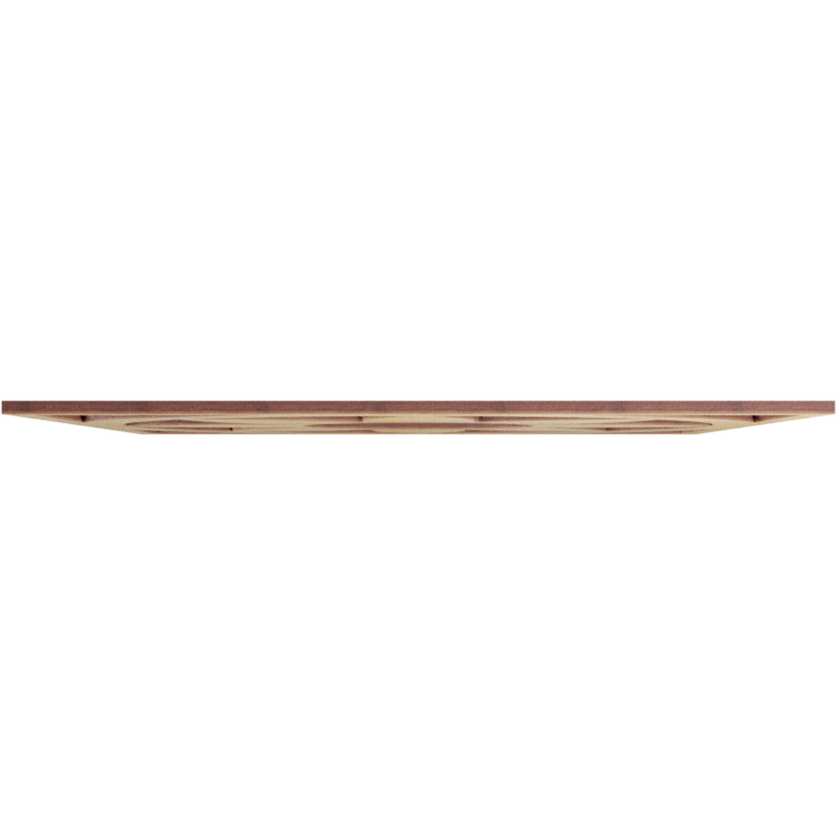 Ekena Millwork CMWP16X16X0250BLHI Ceiling-Medallions - View #3