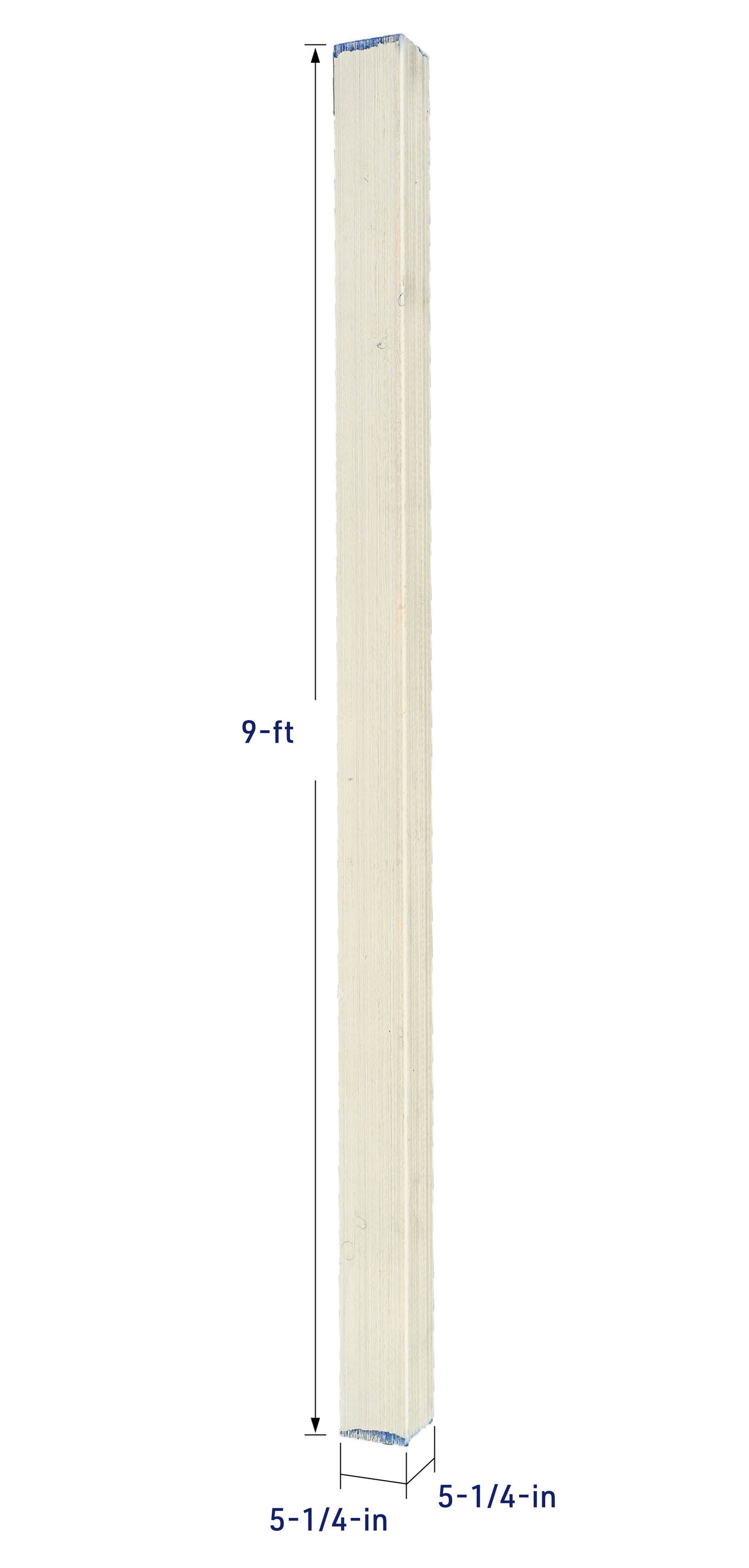 SilvaStar SP60609 columns - View #3