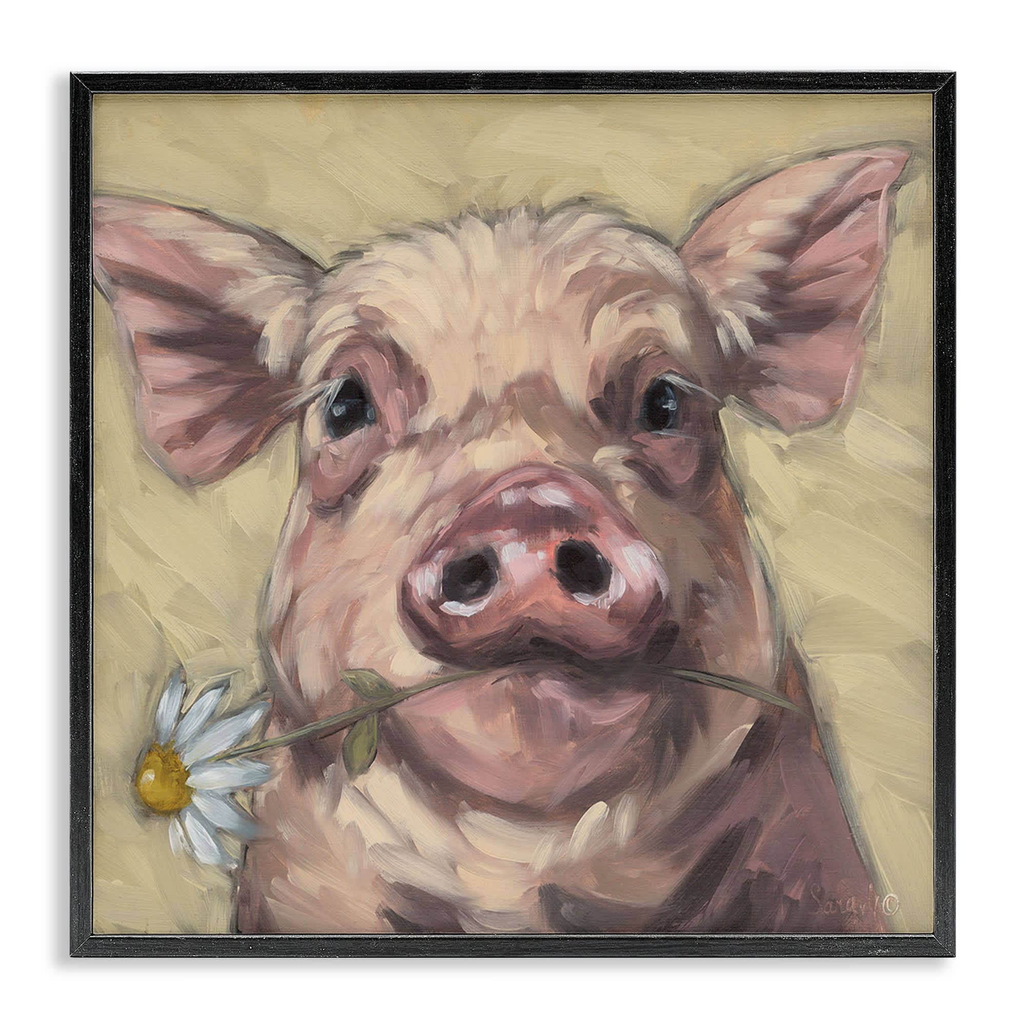 Stupell Industries BS-678-FR-12X12 Pig Holding Daisy Sprig Black Framed Giclee Art By Sara G. Designs 12 x 12