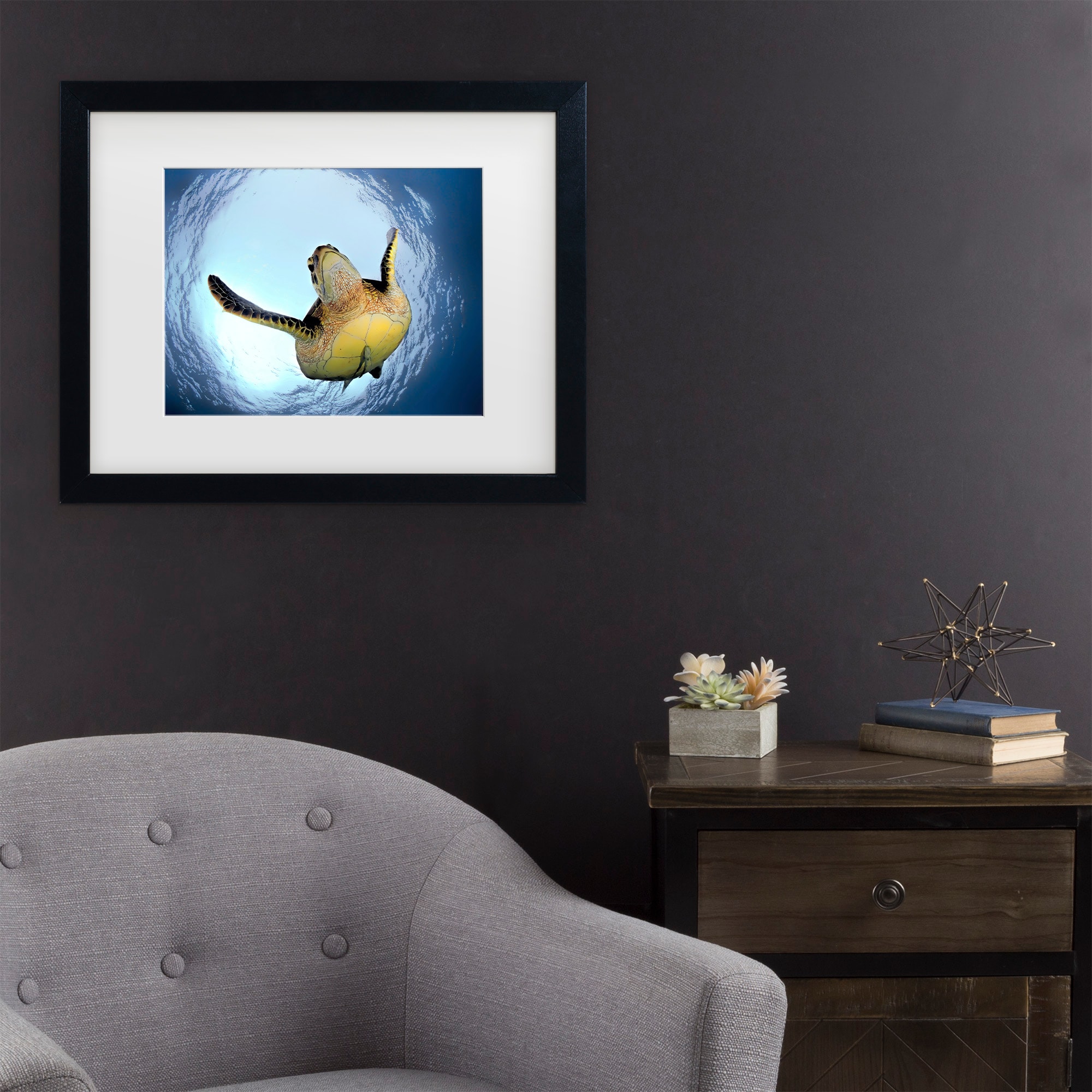 Trademark Fine Art 1X10531-B1620MF Green Turtle In Snells Window Henry Jager Black Frame Wood Framed 16-in H x 20-in W Modern Canvas Print