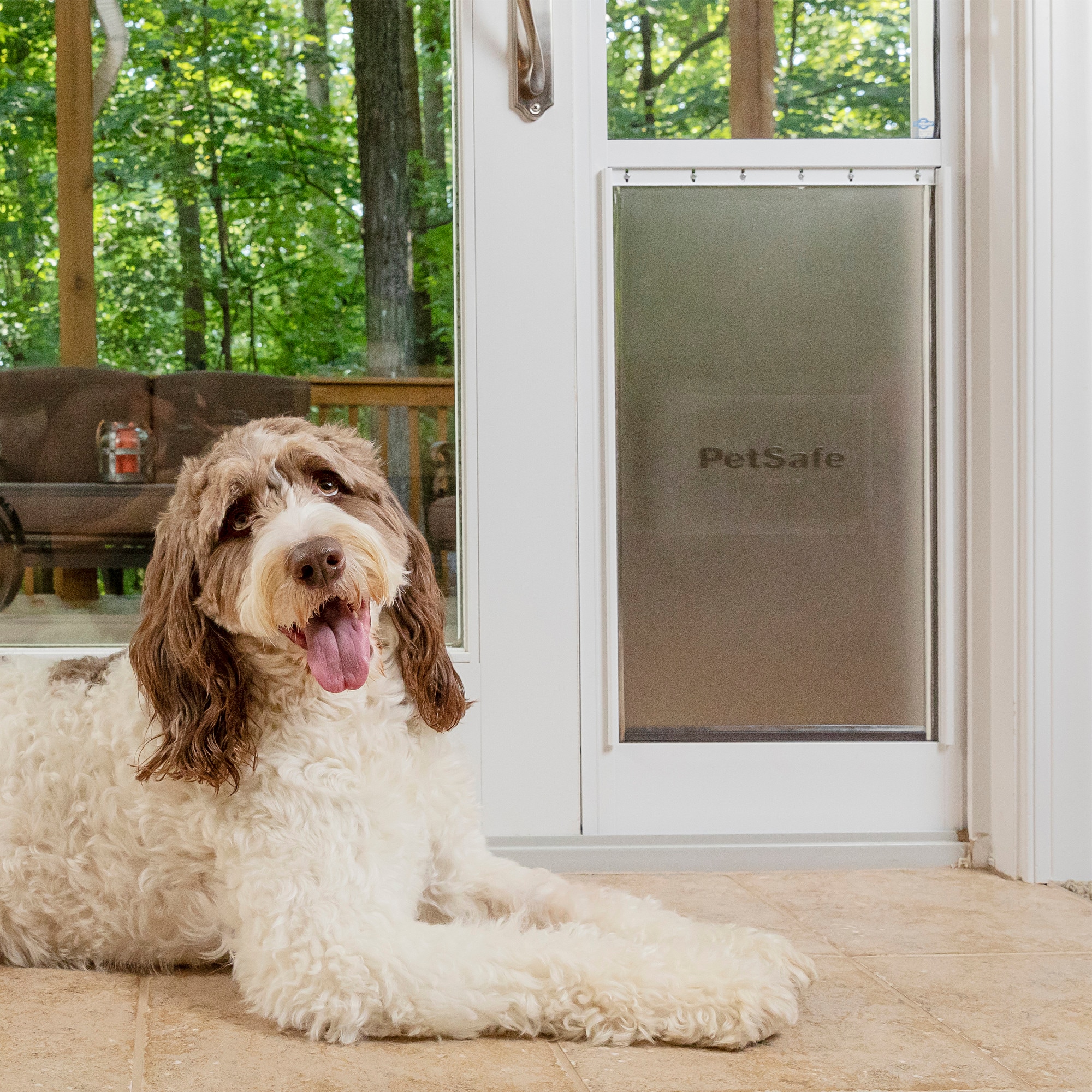 Extra large dog door for sliding glass clearance door