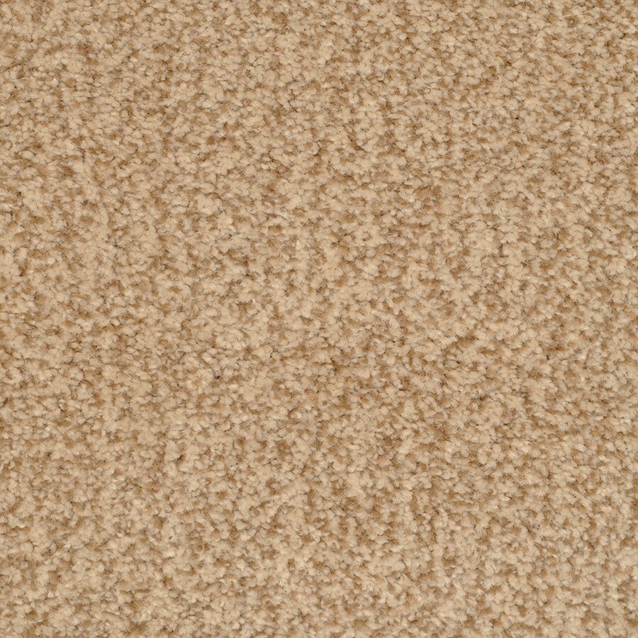 STAINMASTER S516768TANGO-ESTA (Sample) Active Family Fiesta Tango Textured Carpet