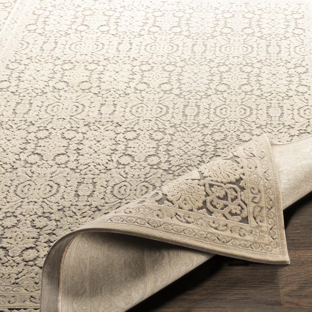 Surya ASP2300-5273 rugs - View #5