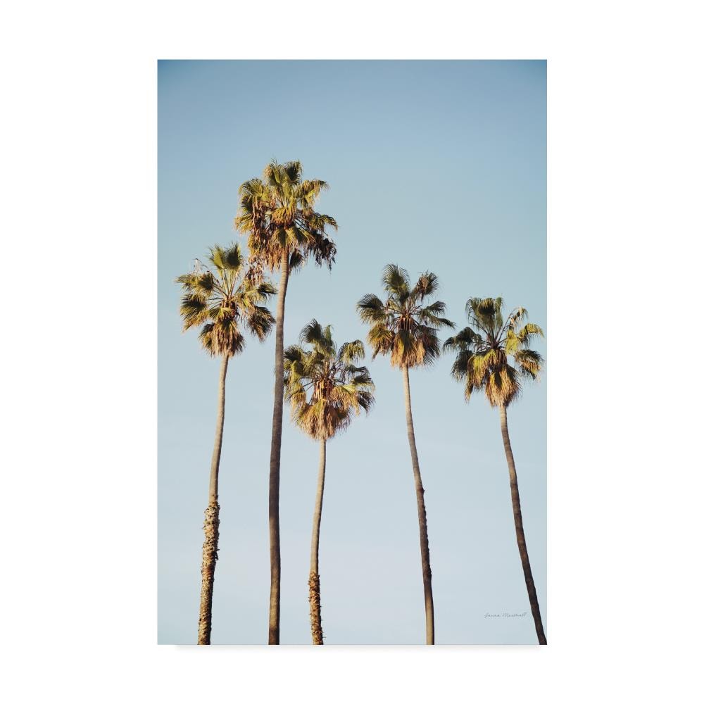 Trademark Fine Art WAP08042-C1219GG Framed 19-in H x 12-in W Landscape Print on Canvas