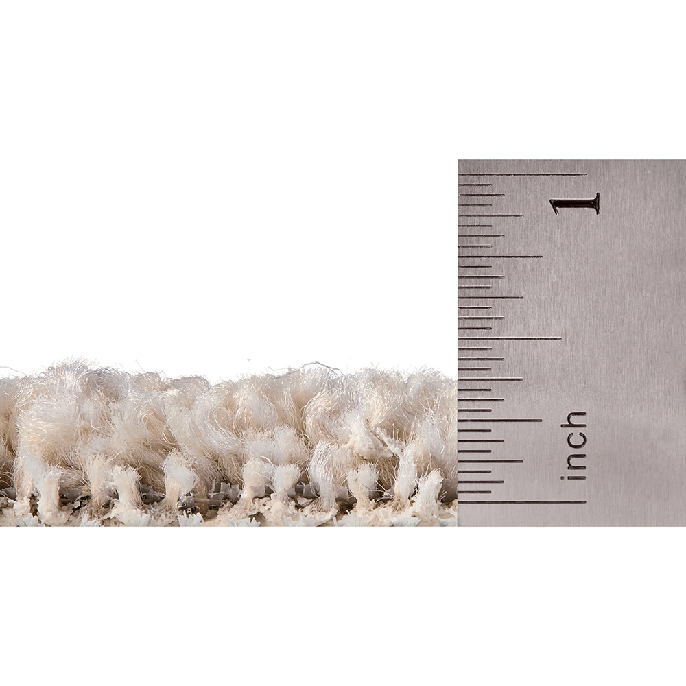 STAINMASTER SS029-L002-0808 Carpet-Samples - View #5
