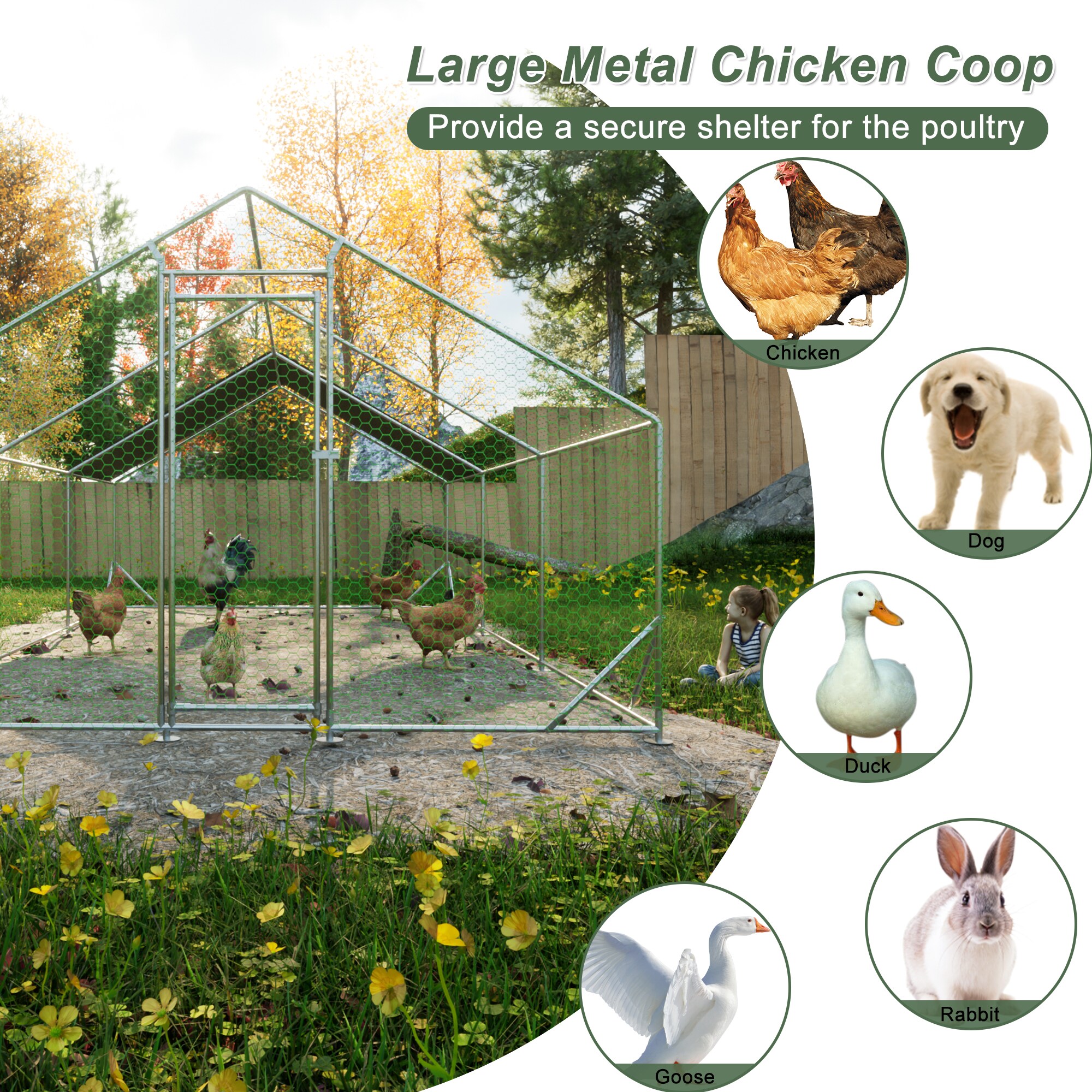 Mondawe MD-TX01AA Chicken-Coops-Rabbit-Hutches - View #7