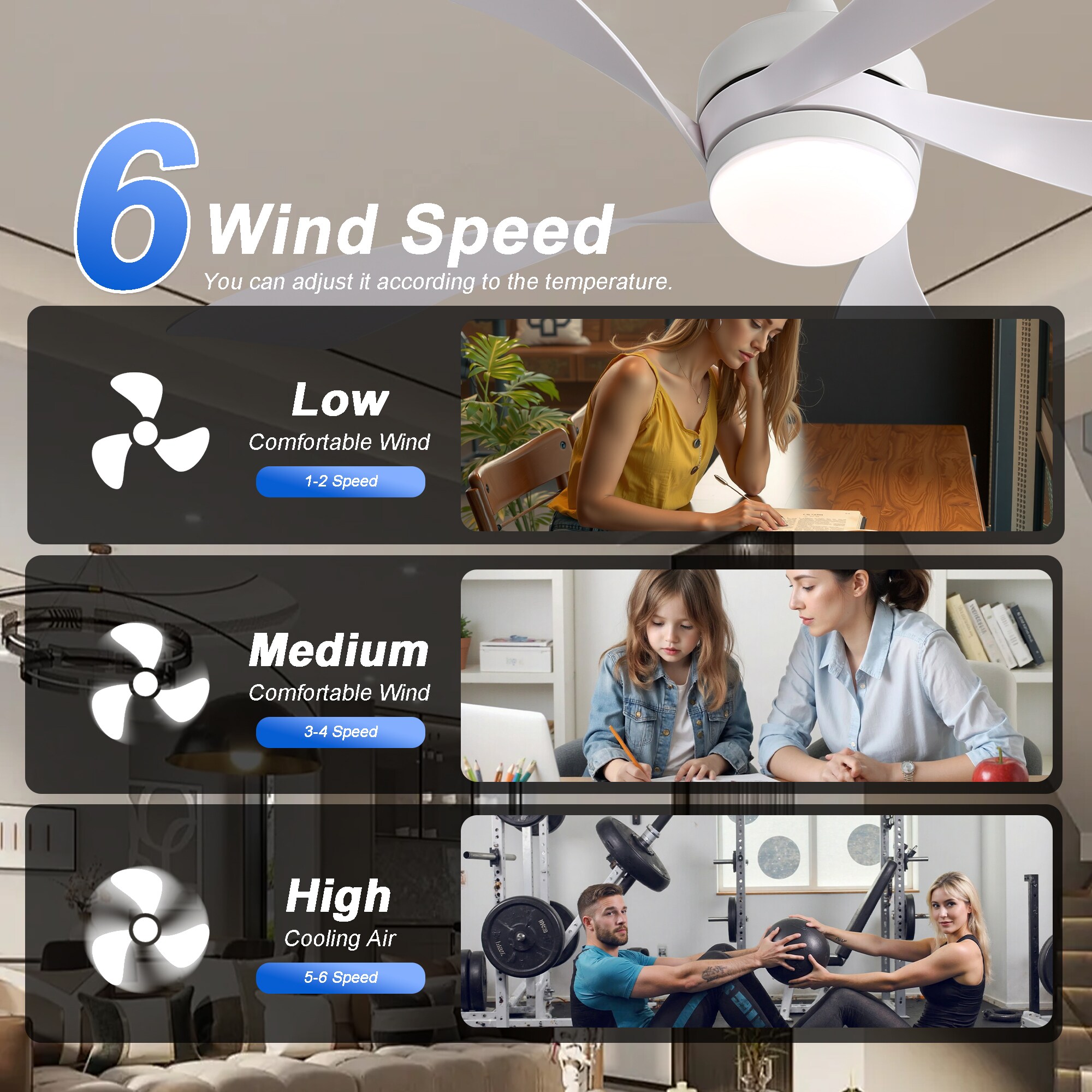 Sunrinx MG13-CF-08 Ceiling-Fans - View #14