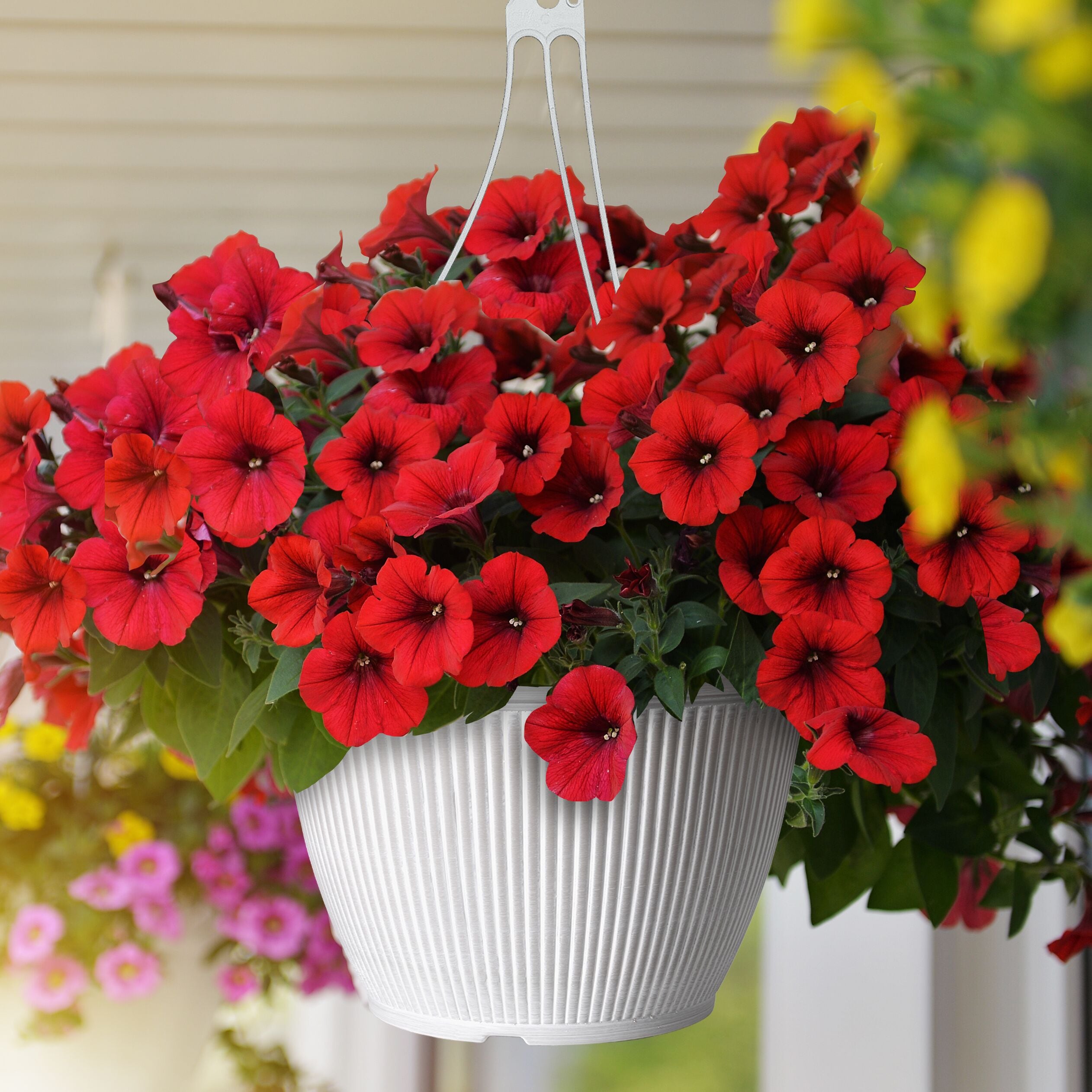 Style Selections HG2140C Planter-Window-Box - View #2