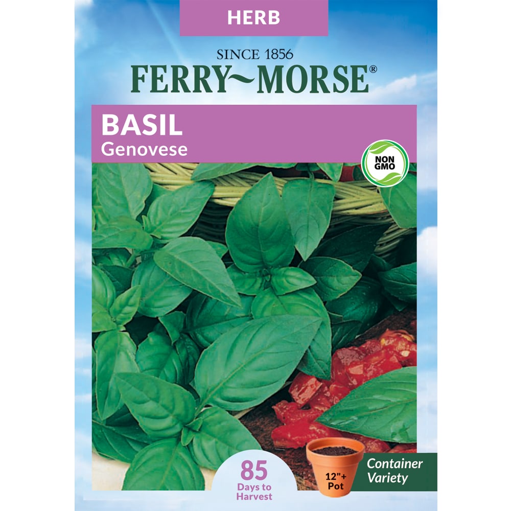 Ferry Morse Organic 0.2 Gram Basil Genovese Organic Herb Seed