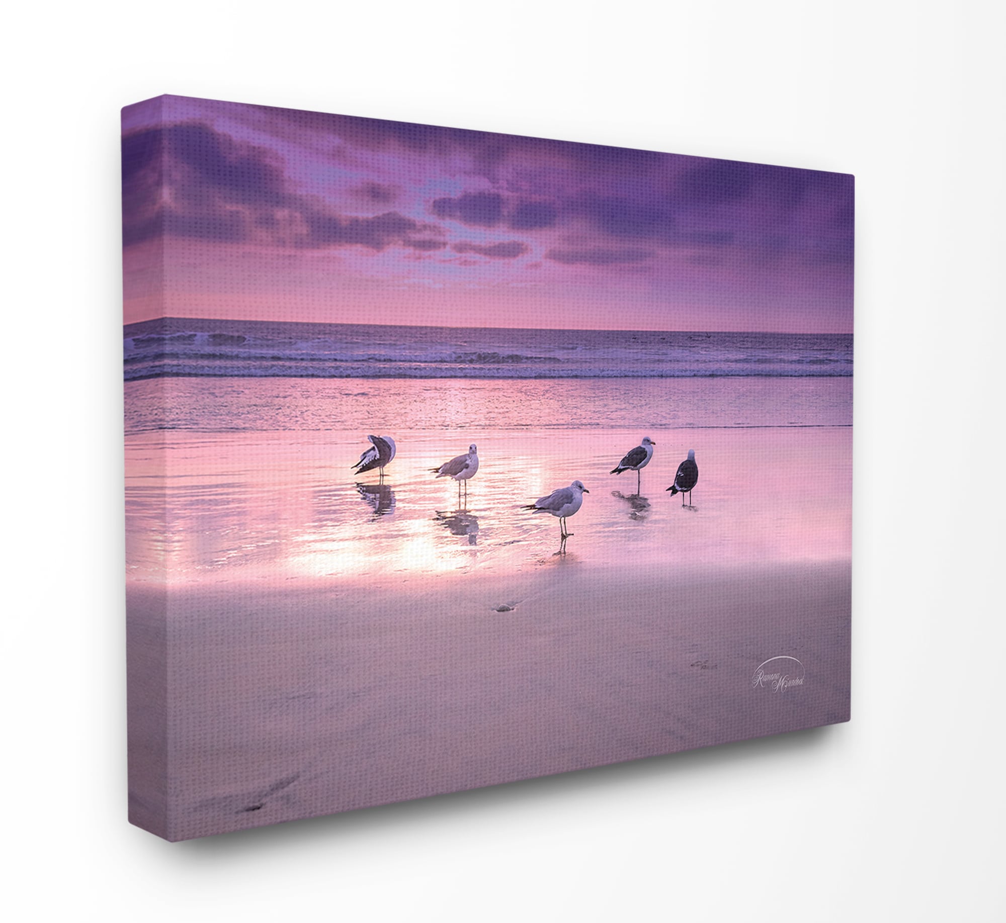 Stupell Industries CWP-322-CN-24X30 Seagulls On Purple Sunset Beach Ramona Murdock 30-in H x 24-in W Coastal Print on Canvas