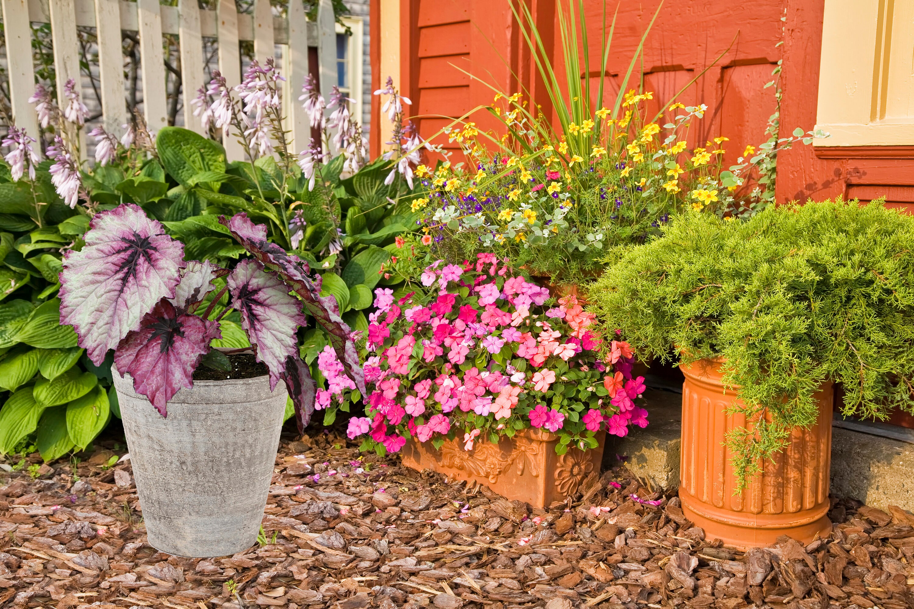  2809 annuals - View #5