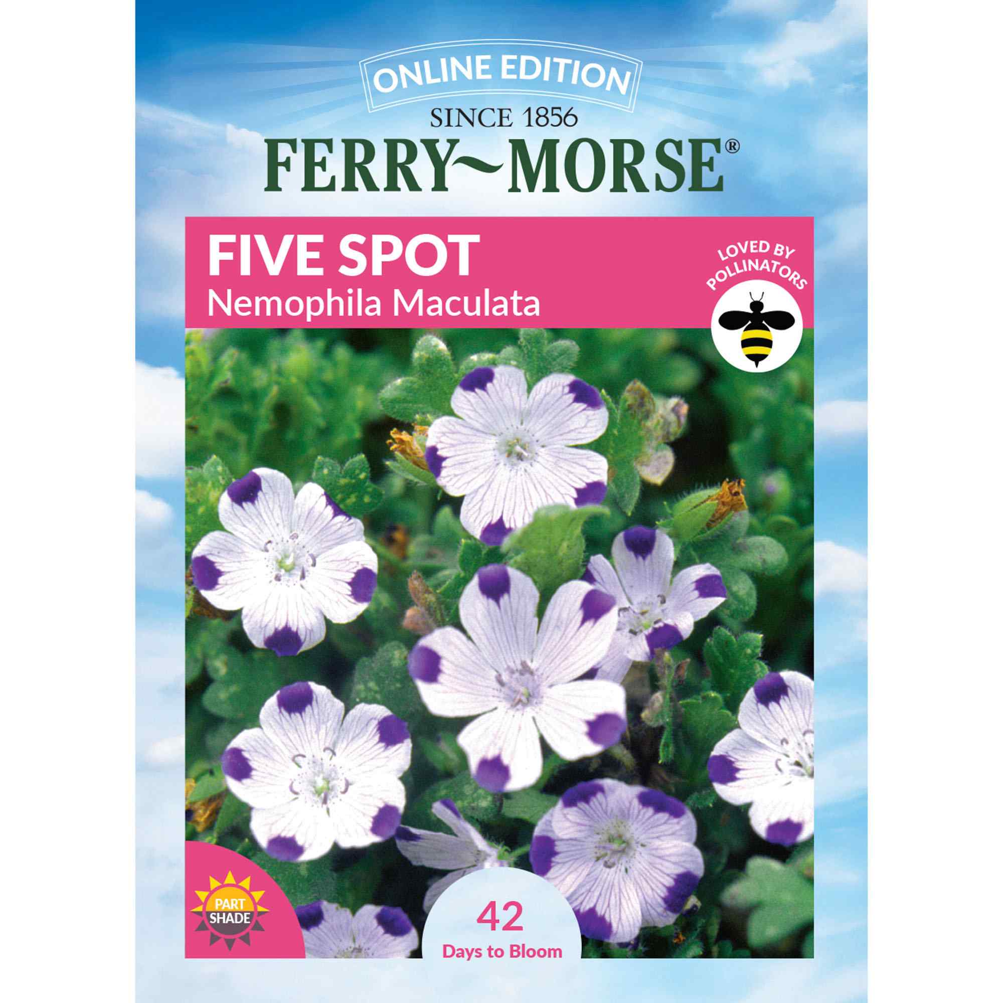 Ferry-Morse LC25.1796 Five Spot Seeds 900 Milligram(s)