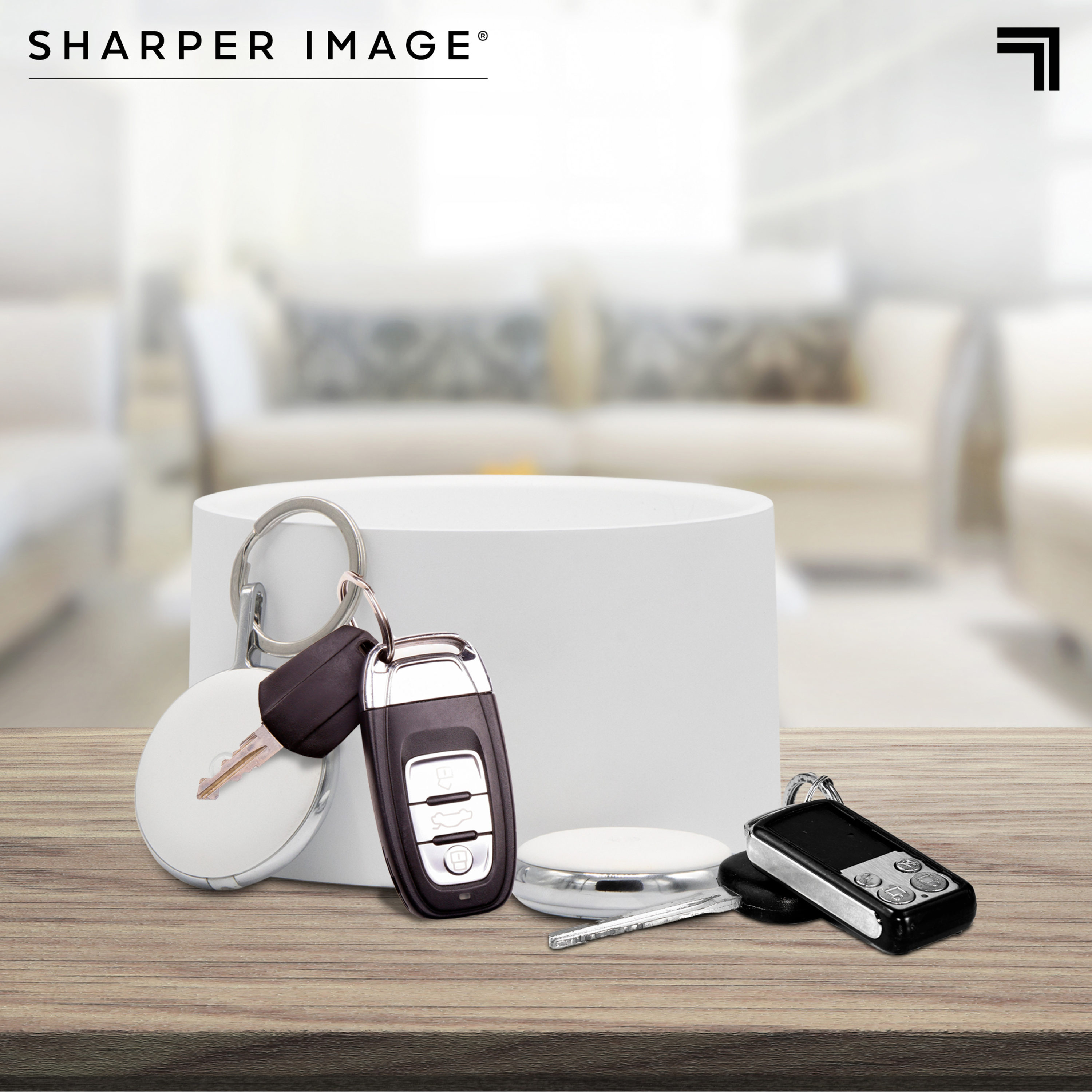 Sharper Image 1014010 Security-Alarm-Access - View #4