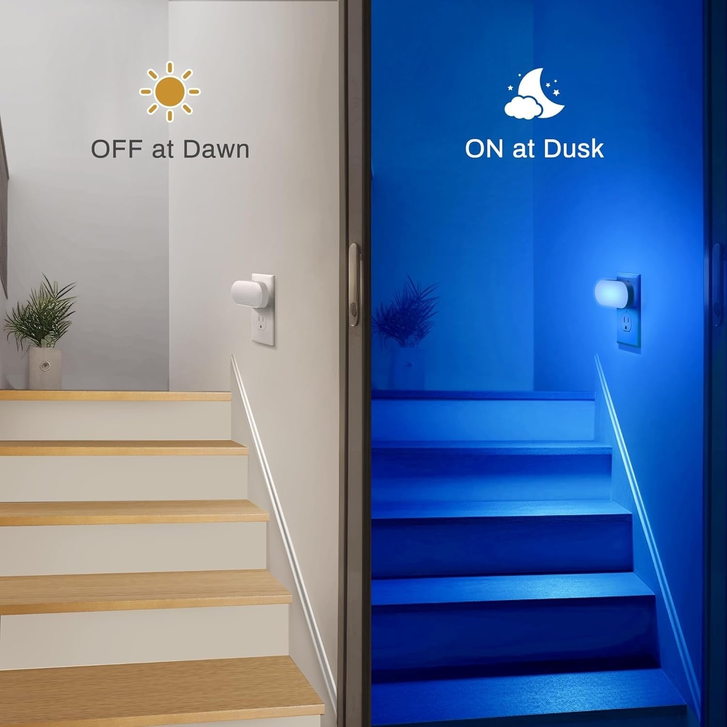 DORESshop LSC-NL007BLDG-4 Night-Lights - View #6