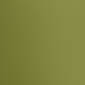 Palm Green