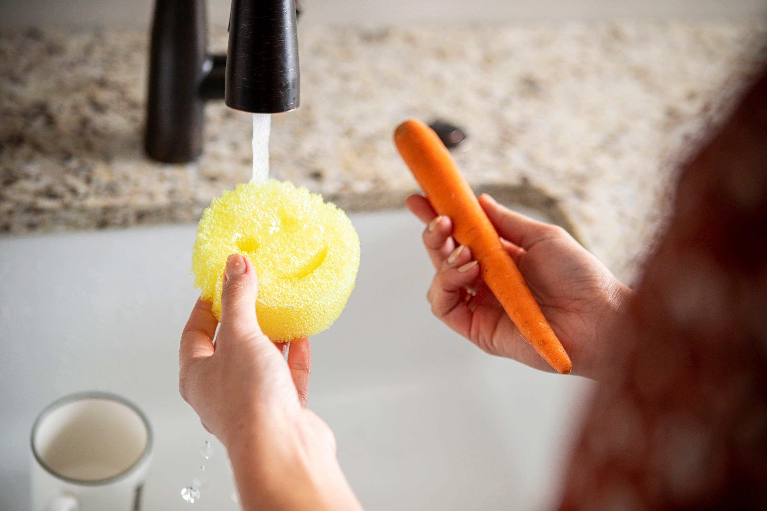 Scrub Daddy Barbeque Daddy Polymer Foam Sponge in the Sponges & Scouring  Pads department at