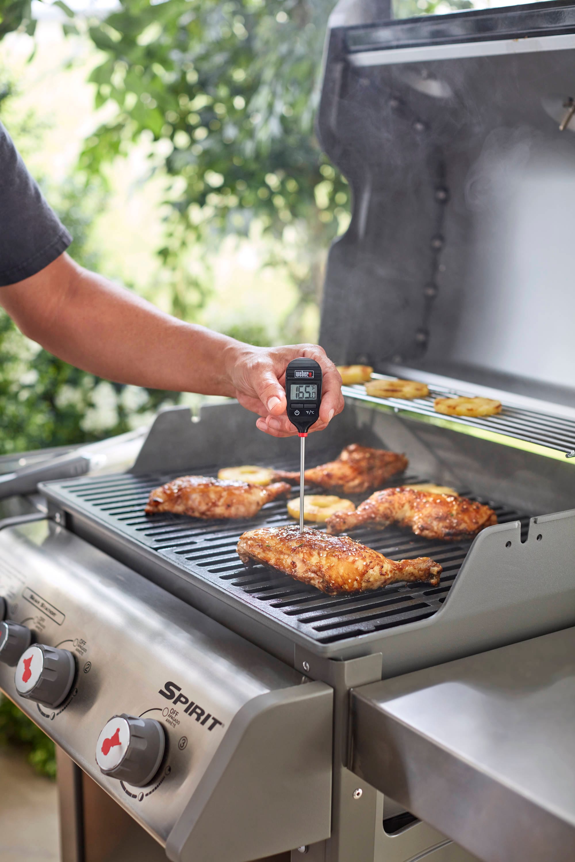 Weber 6742 Barbecue Thermometer Review