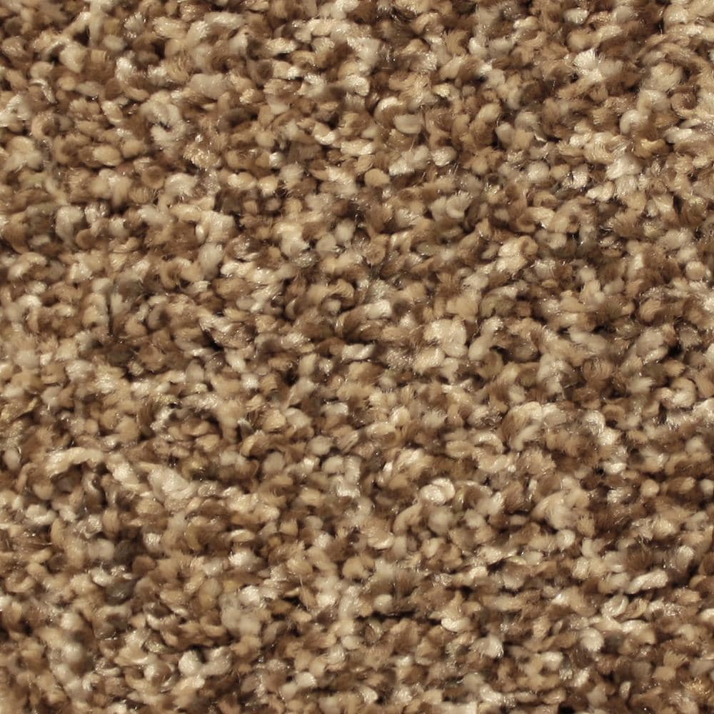 STAINMASTER S8060-3-1200-AB (Sample) Essentials Channing Historic Charm Textured Carpet