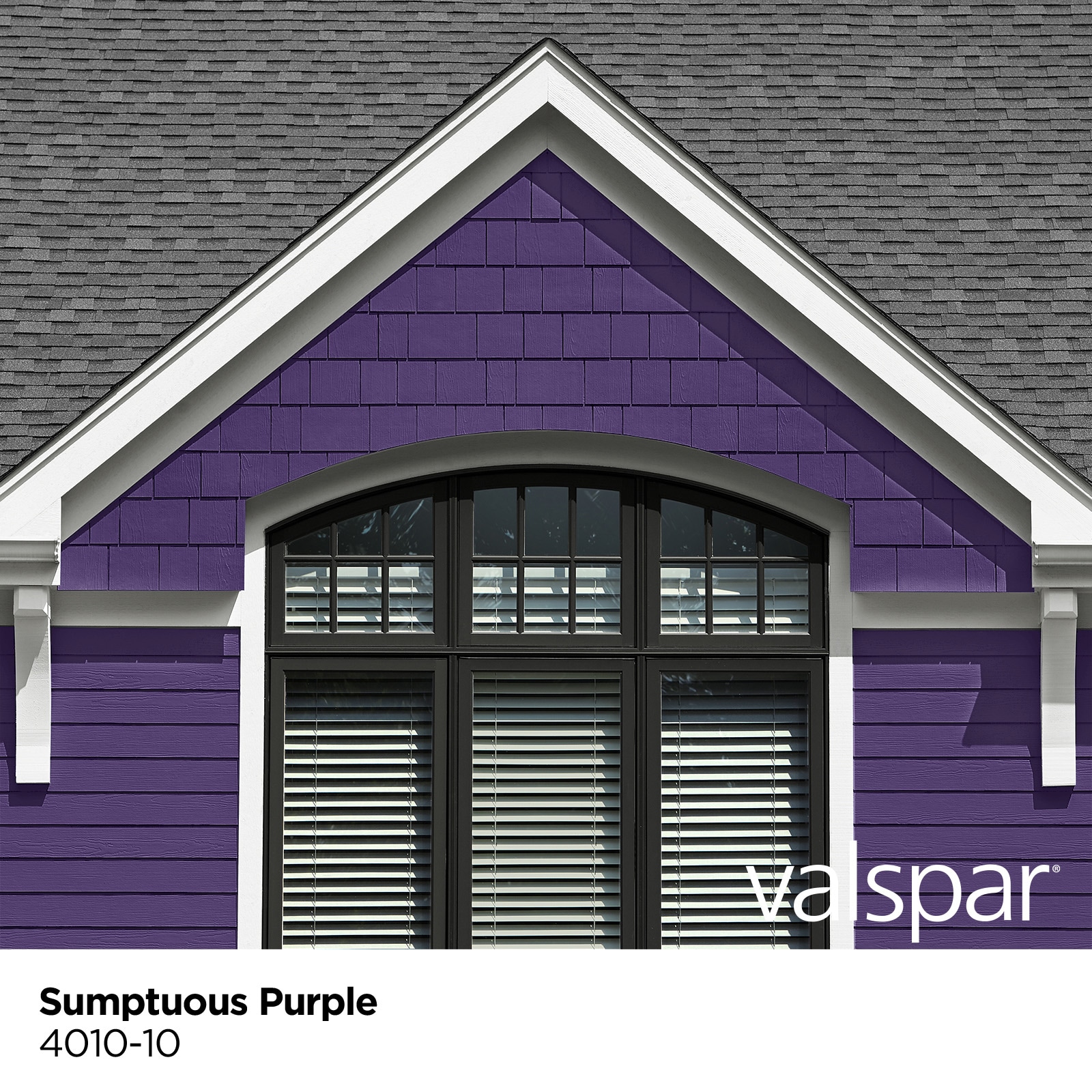 HGTV HOME by Sherwin-Williams Ovation Plus Satin Sumptuous Purple