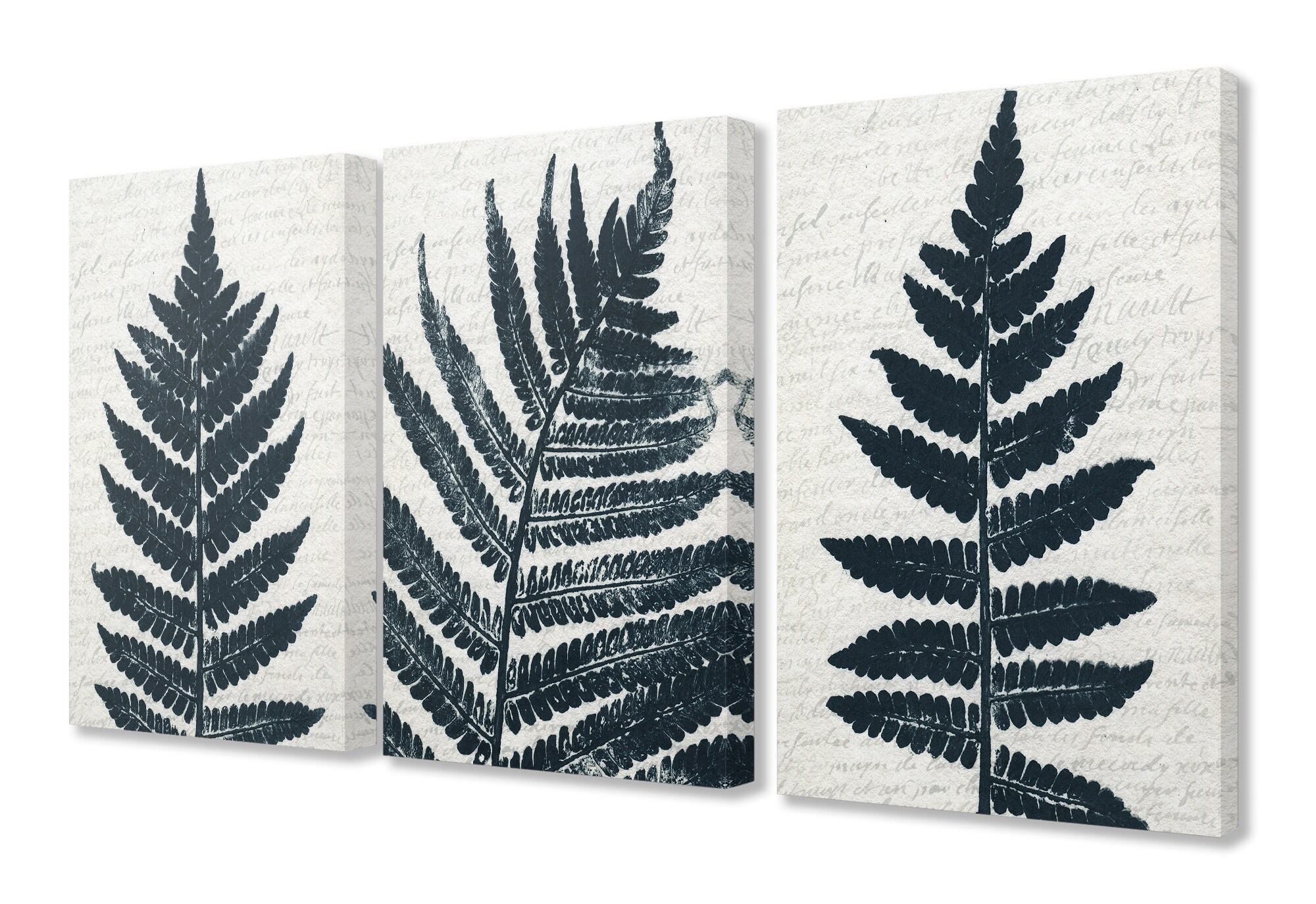 Stupell Industries CCP-303-CN-3PC-16X20 Bold Fern Pressing Prints On Collaged Paper Kimberly Allen 20-in H x 16-in W Vintage/Retro Print on Canvas