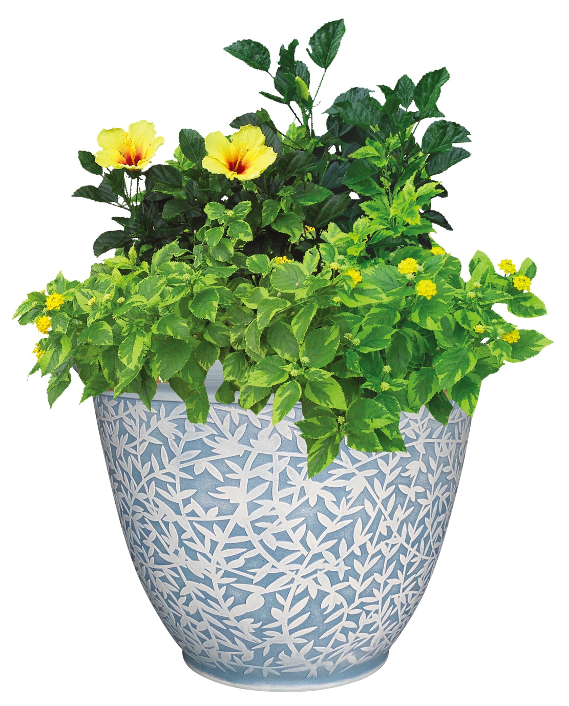 Ready Refill HDR-082897 Planter-Window-Box - View #5