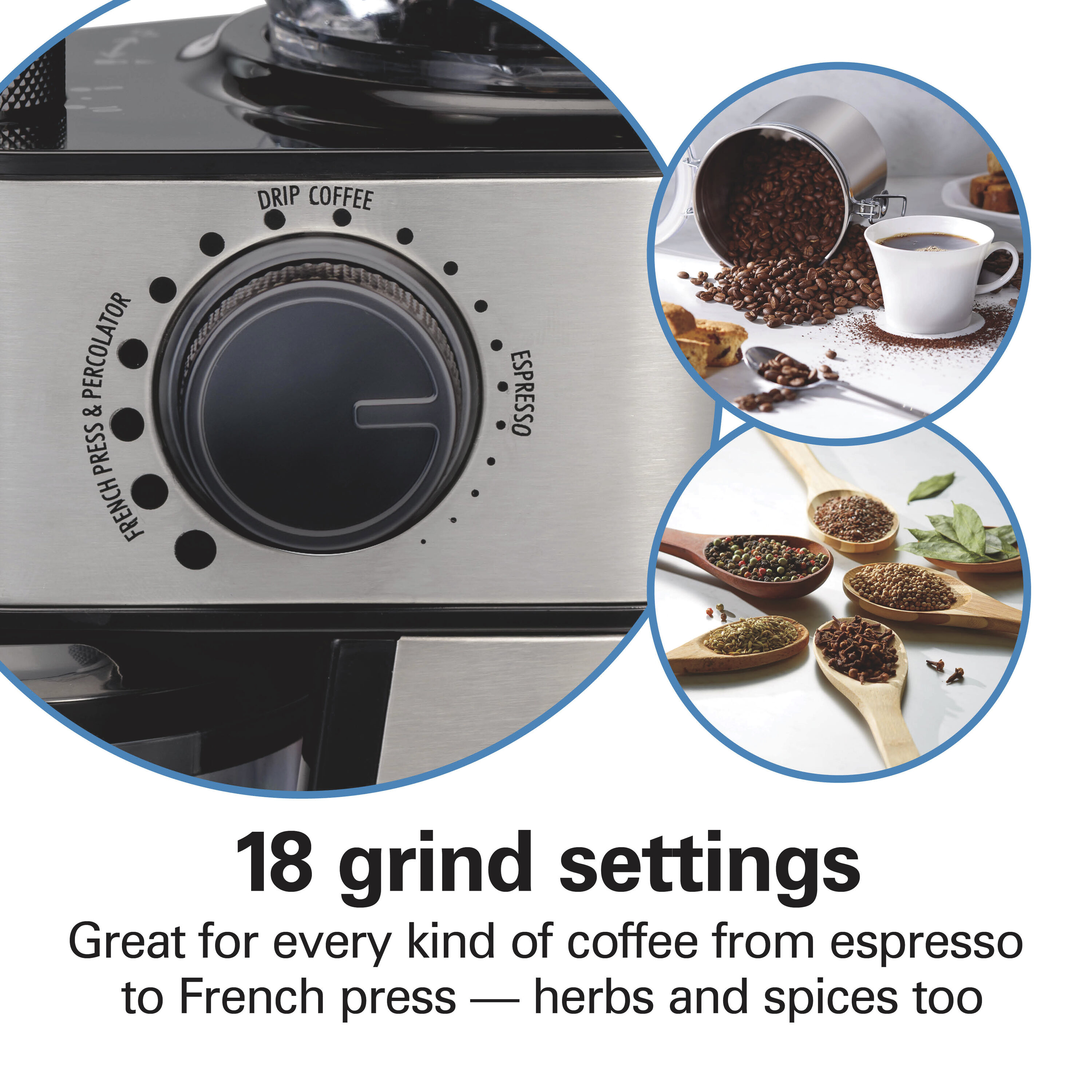  Hamilton Beach Fresh Grind Electric Coffee Grinder for Beans,  Spices and More, Stainless Steel Blades, Removable Chamber, Makes up to 12  Cups, White : Home & Kitchen