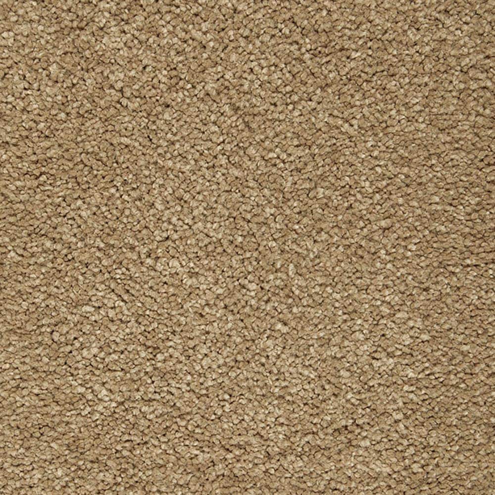 STAINMASTER PetProtect STP54-12-L023 Beau Dacious Jasper Brown 48-oz sq yard Triexta Textured Indoor Carpet
