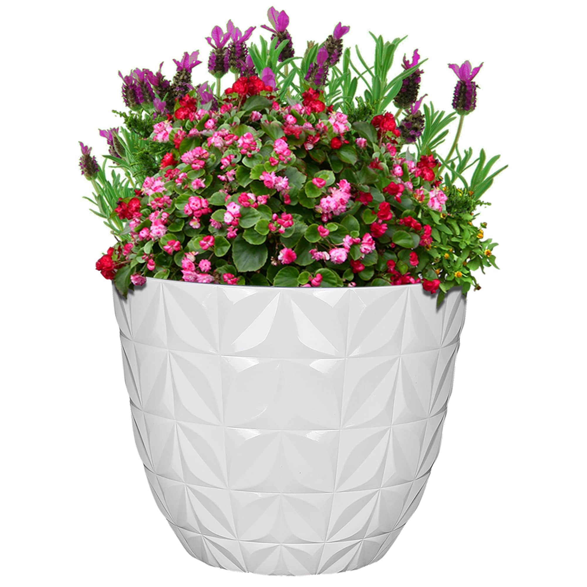 allen + roth PLG6418PWG Planter-Window-Box - View #5