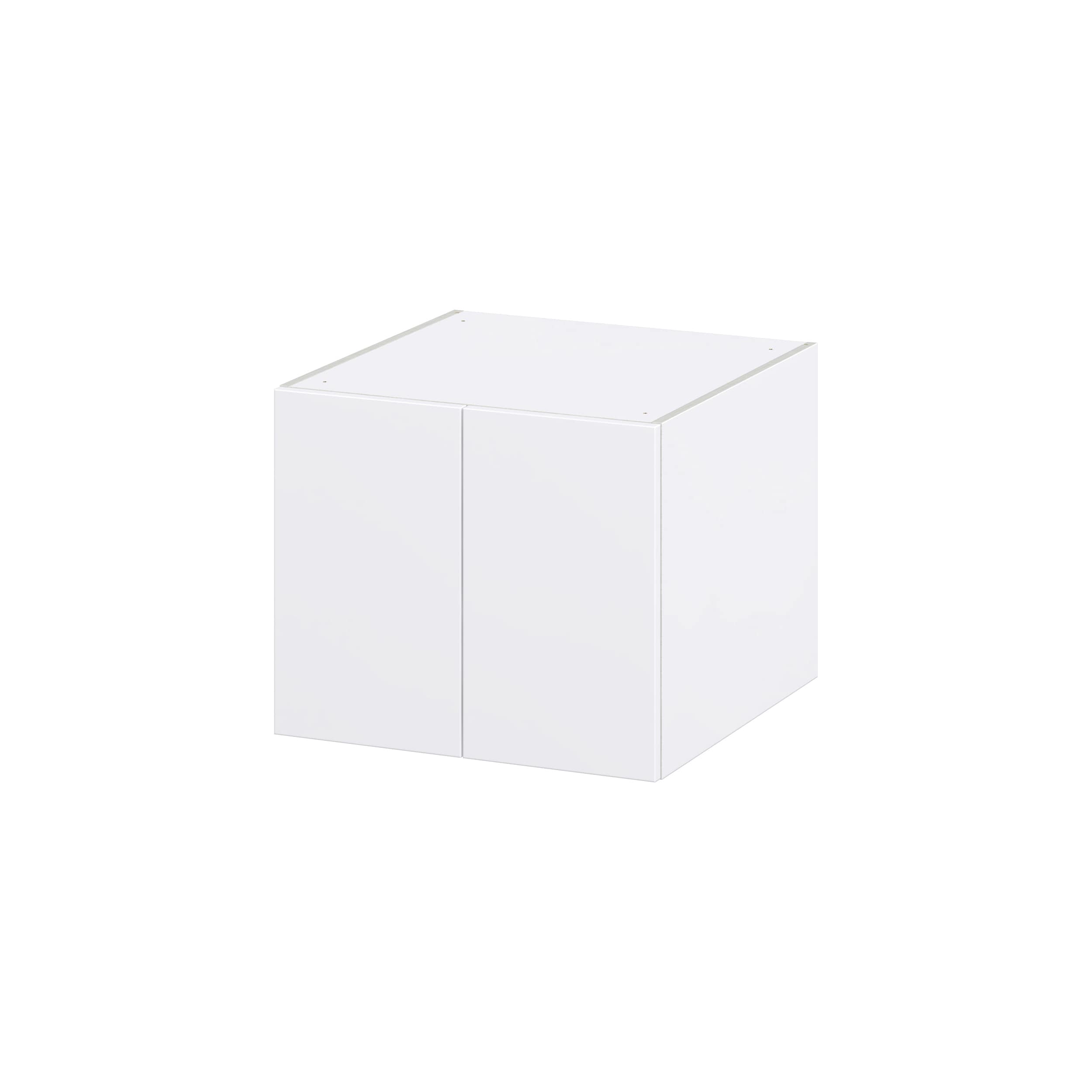 Hugo&Borg DSW242024-2-LA Lasalle 24-in W x 20-in H x 24-in D Bright White Slab Wall Fully assembled Cabinet (Flat Panel Slab)