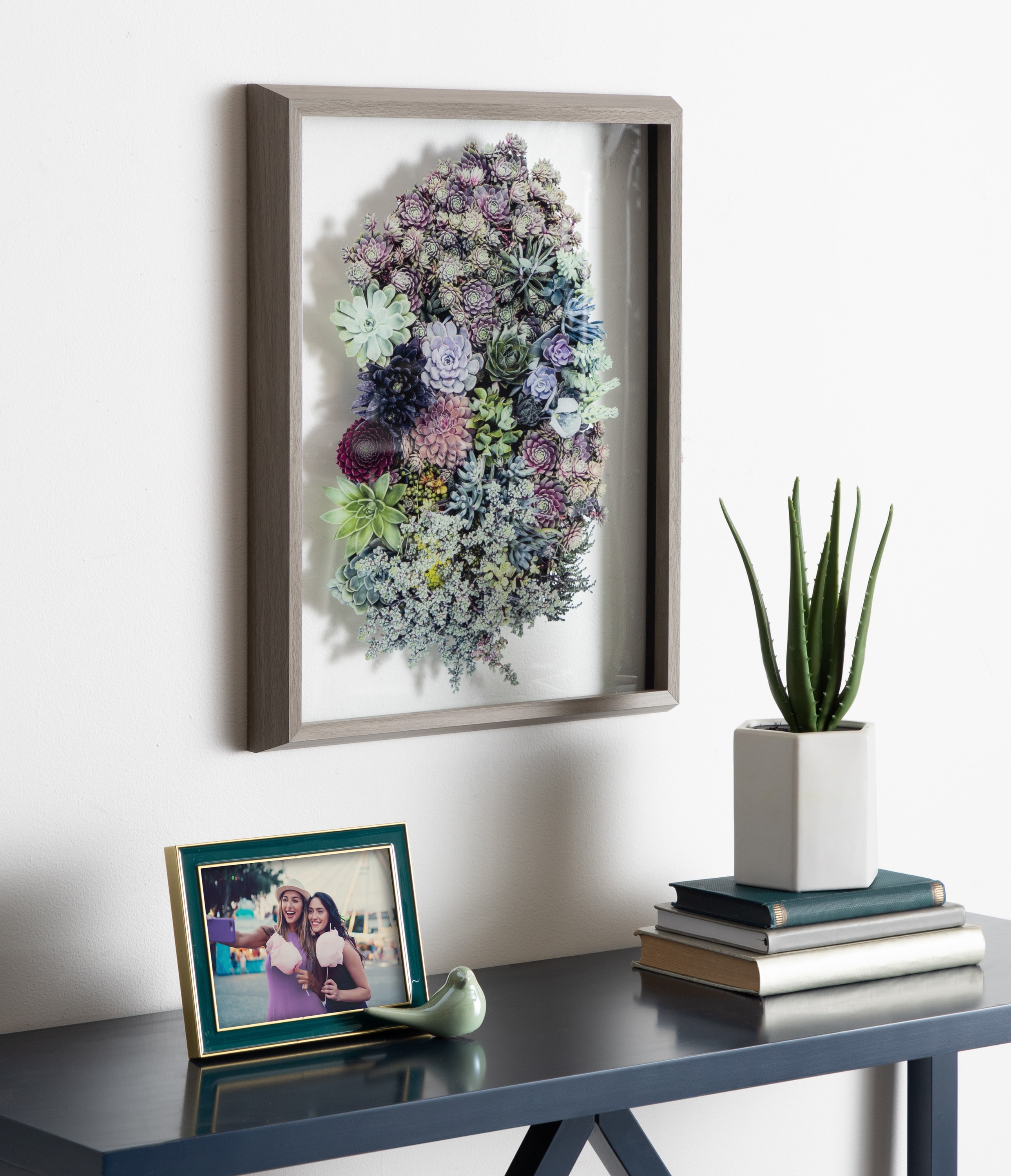 Gray Framed Botanical Succulent Glass Wall Art, 16x20