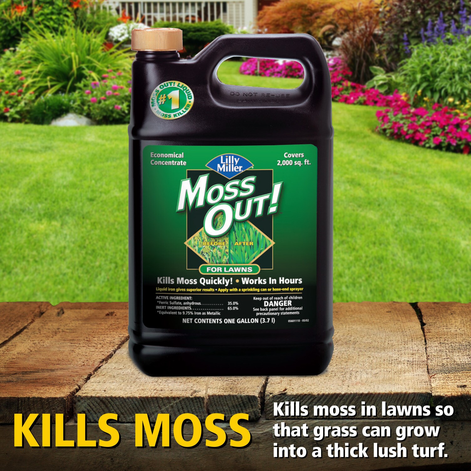 Moss Out! 7062400765 Moss-Algae-Fungus-Control - View #4