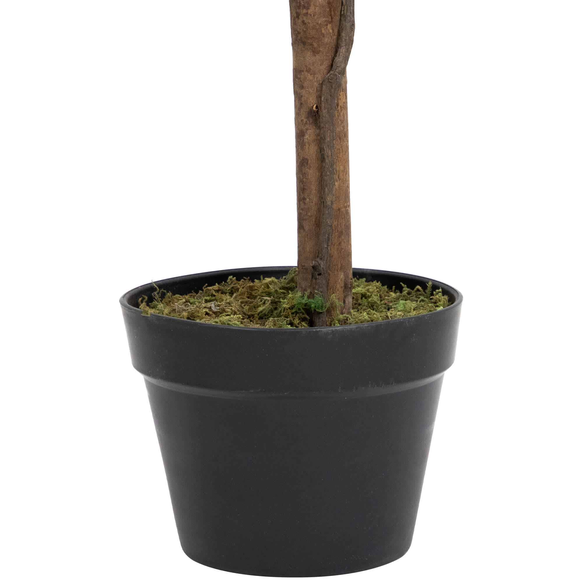 Northlight NORTHLIGHT-WN37348 Artificial-Plants-Trees - View #7