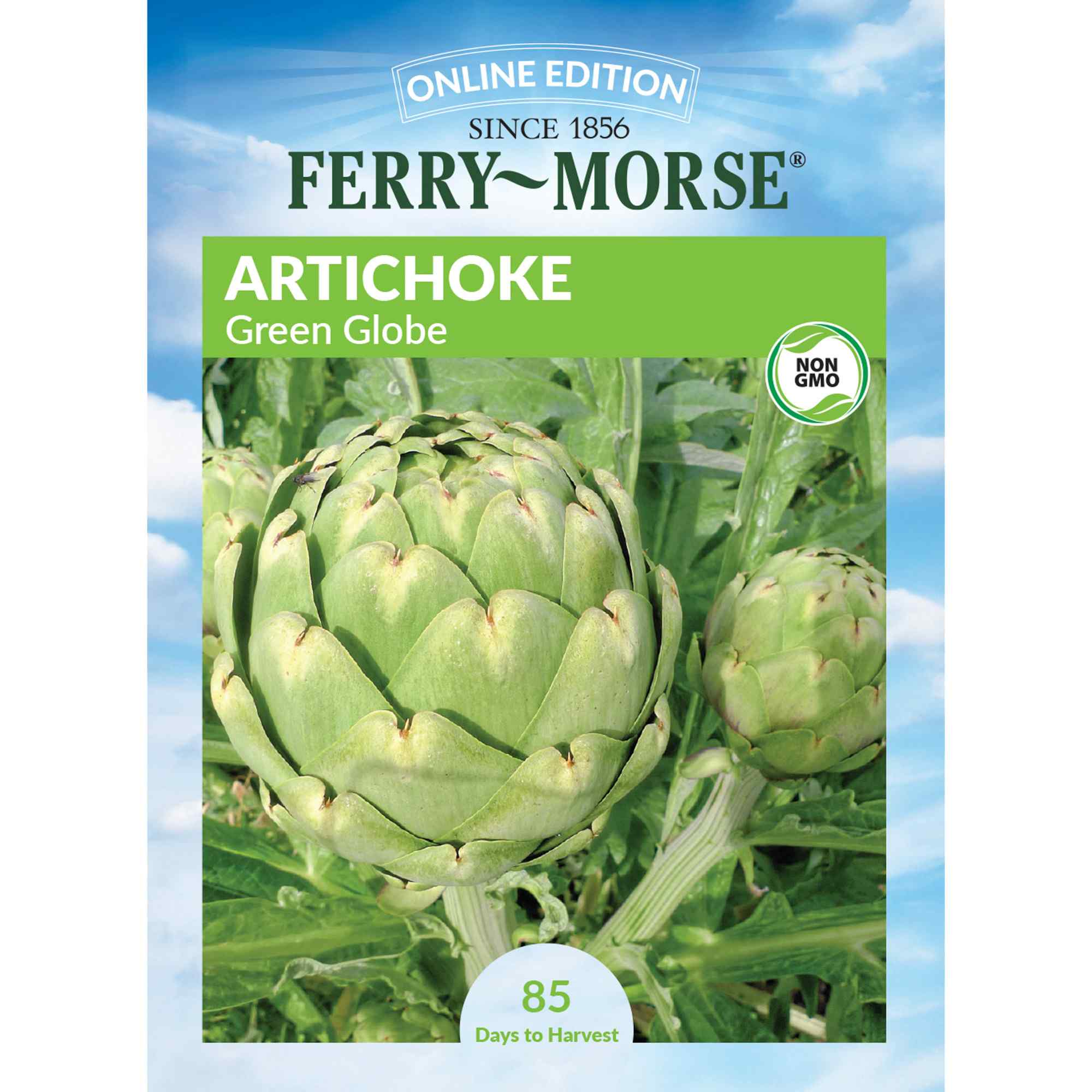 Ferry-Morse LC25.9559 Artichoke Seeds 900 Milligram(s)